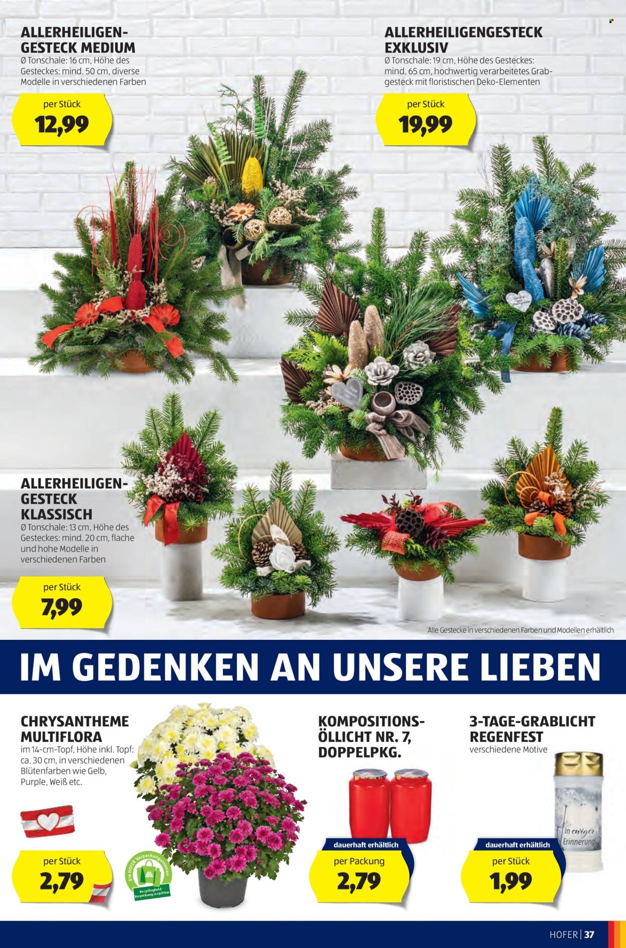 Angebote Hofer - 11.10.2024 - 17.10.2024. Seite 41