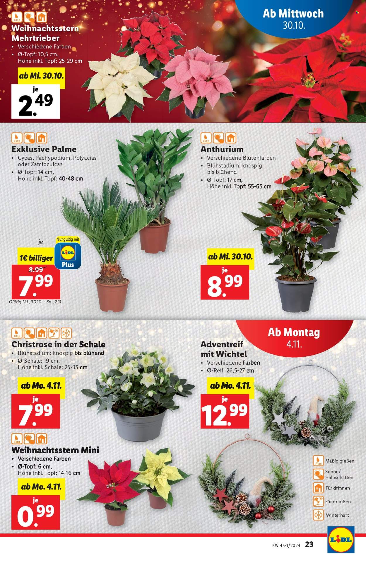 Angebote Lidl - 30.10.2024 - 6.11.2024. Seite 23