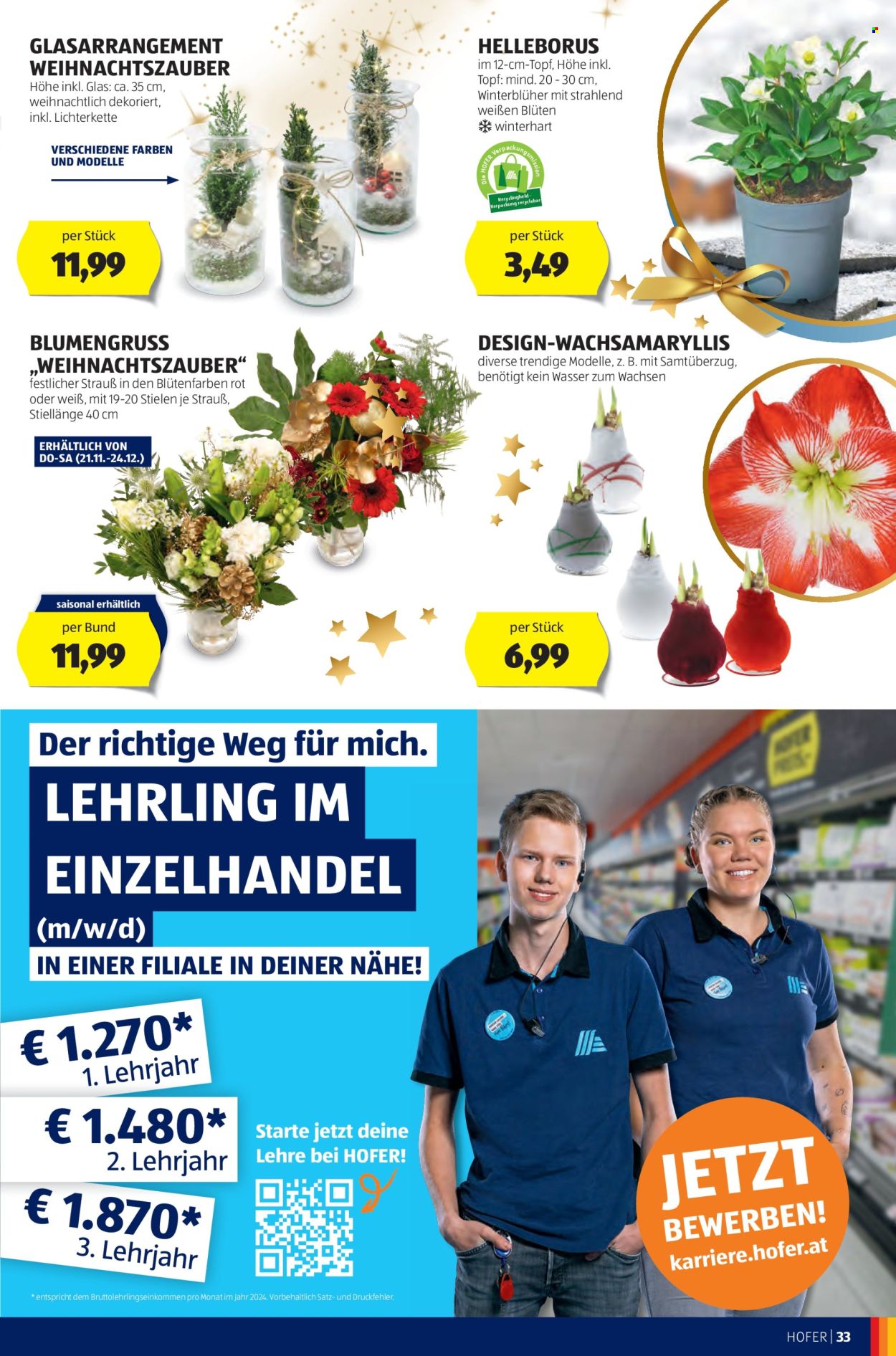 Angebote Hofer - 15.11.2024 - 21.11.2024. Seite 37