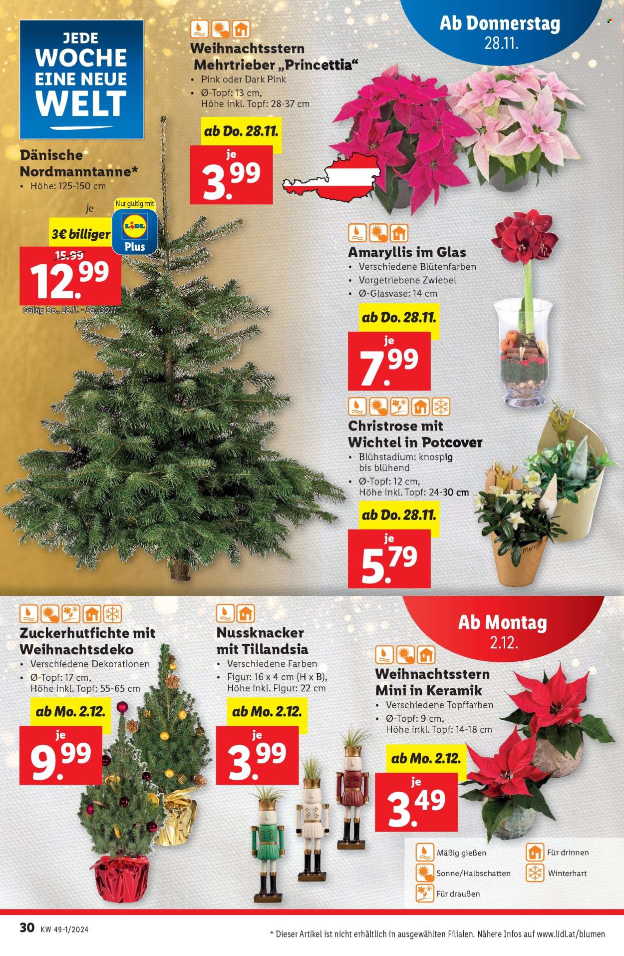 Angebote Lidl - 28.11.2024 - 4.12.2024. Seite 30