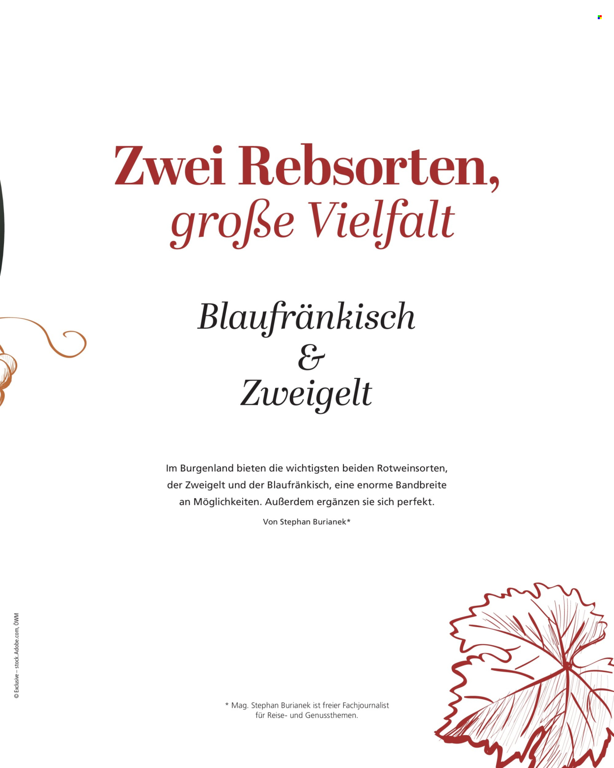 Angebote INTERSPAR - 6.12.2024 - 12.3.2025. Seite 33
