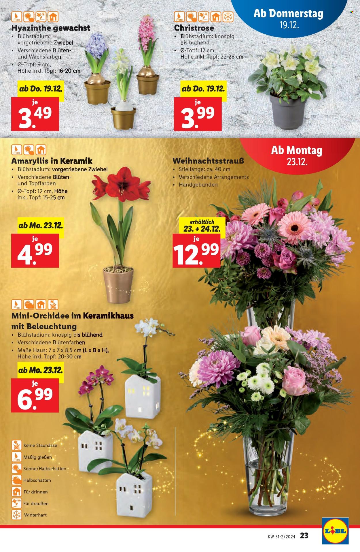 Angebote Lidl - 19.12.2024 - 28.12.2024. Seite 23