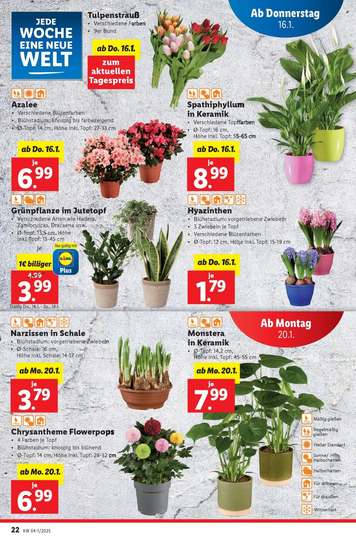 Angebote Lidl - 16.1.2025 - 22.1.2025. Seite 22