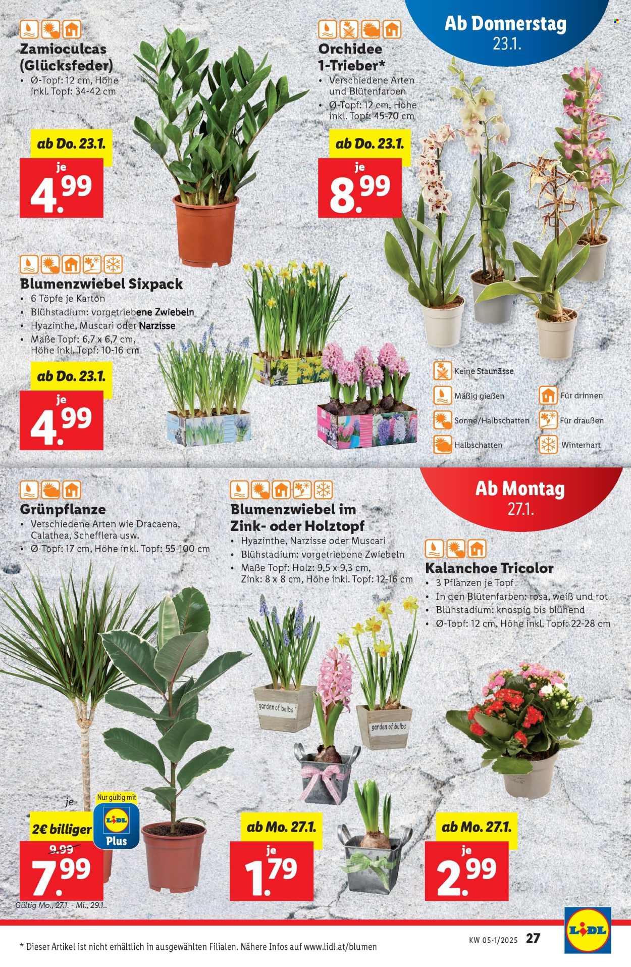 Angebote Lidl - 23.1.2025 - 29.1.2025. Seite 27