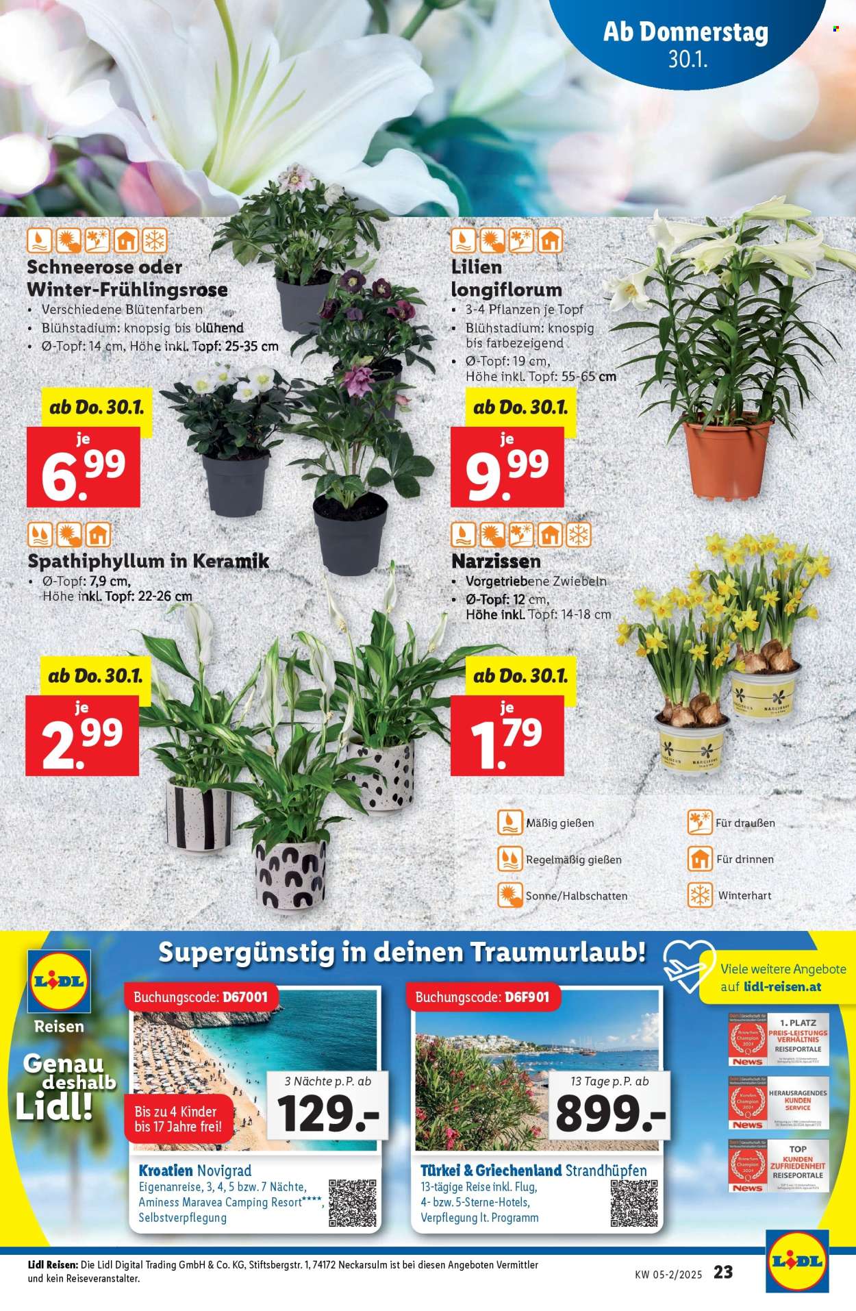 Angebote Lidl - 30.1.2025 - 5.2.2025. Seite 25