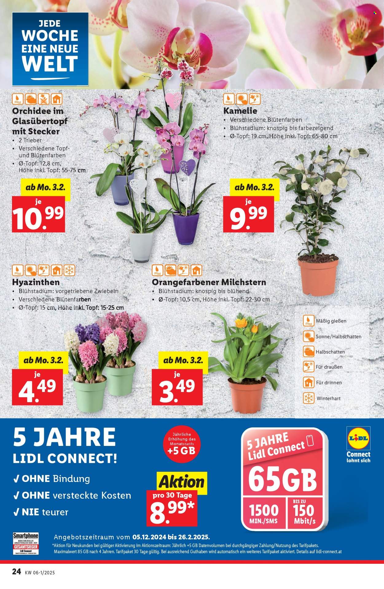 Angebote Lidl - 30.1.2025 - 5.2.2025. Seite 26