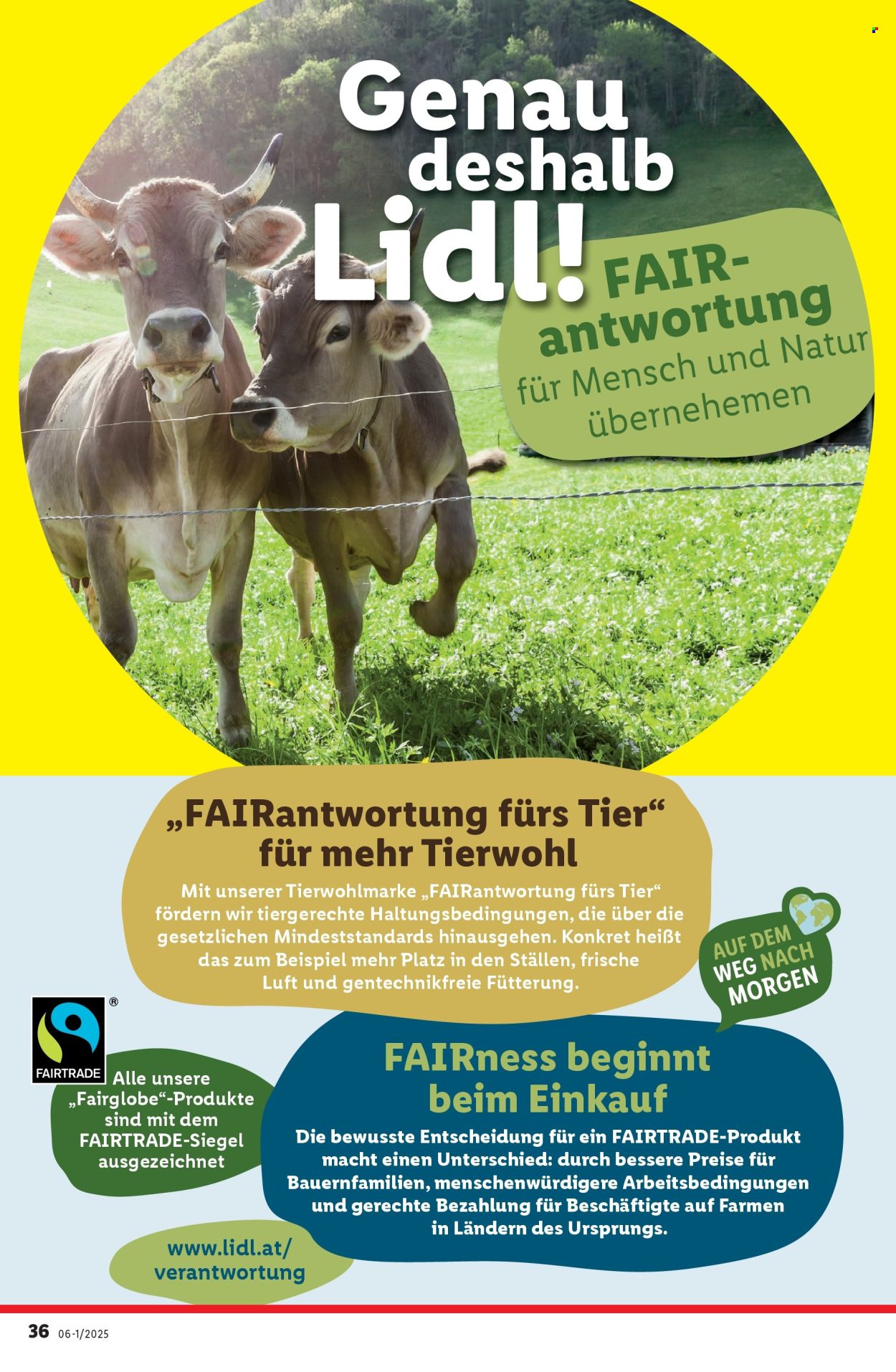 Angebote Lidl - 30.1.2025 - 5.2.2025. Seite 40