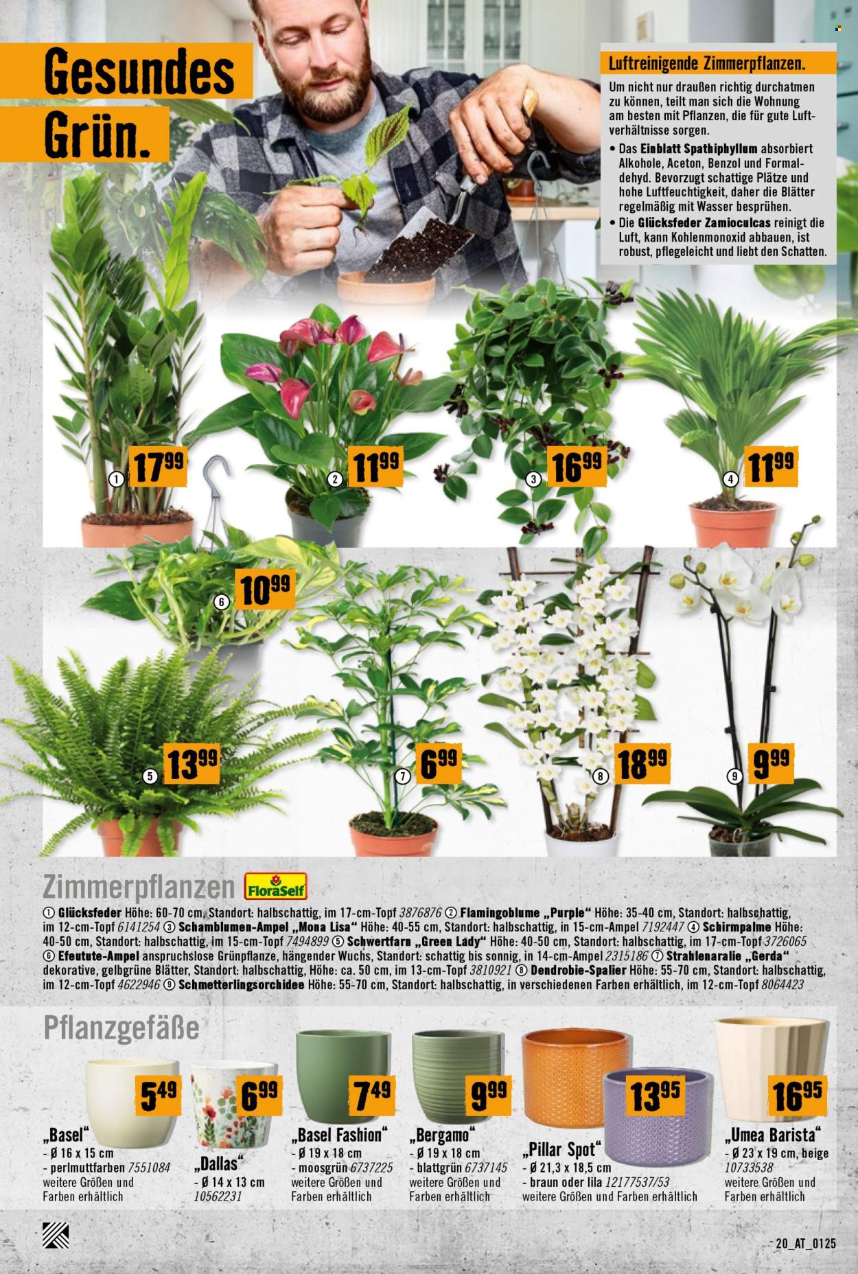 Angebote Hornbach - 30.1.2025 - 10.2.2025. Seite 20