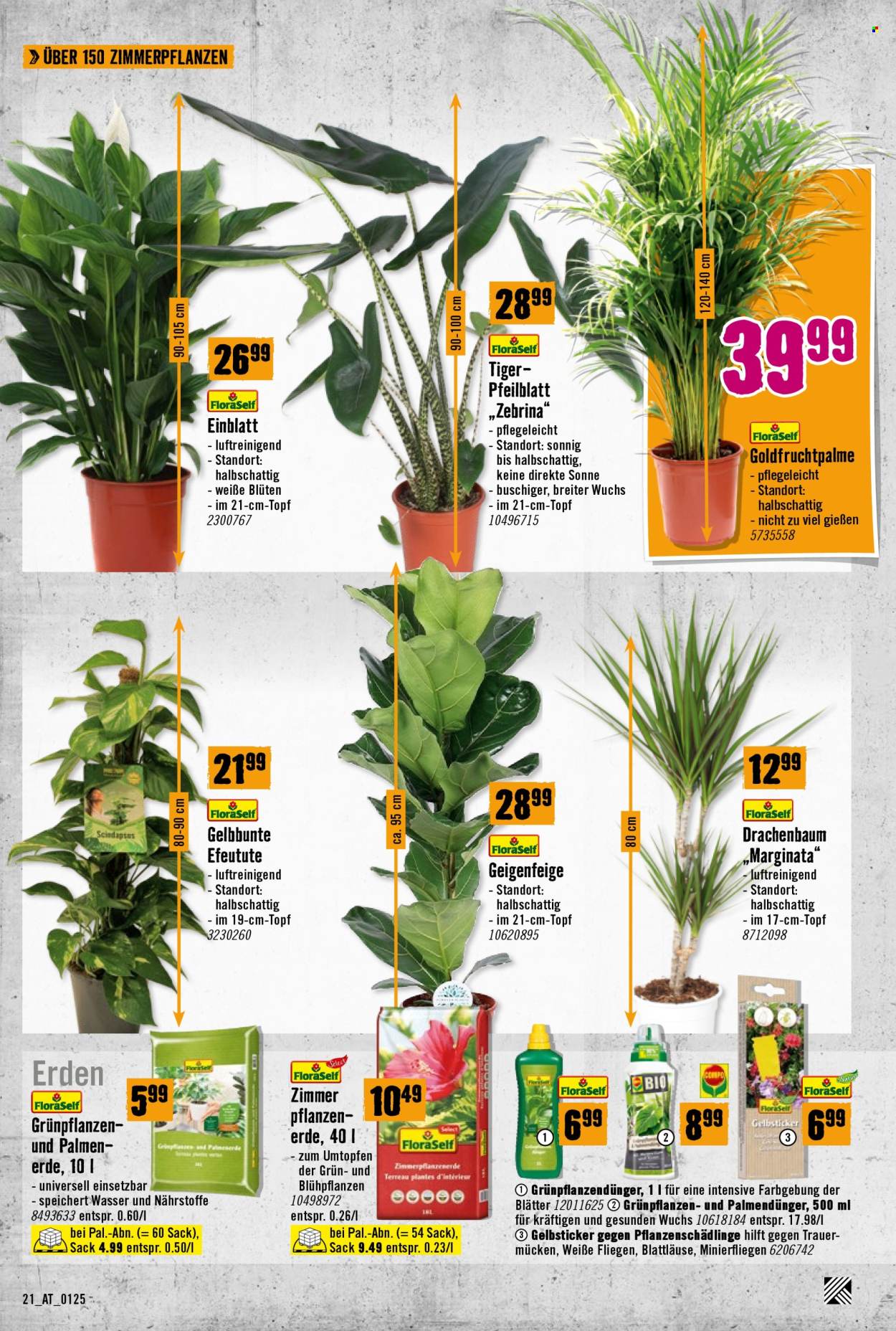 Angebote Hornbach - 30.1.2025 - 10.2.2025. Seite 21