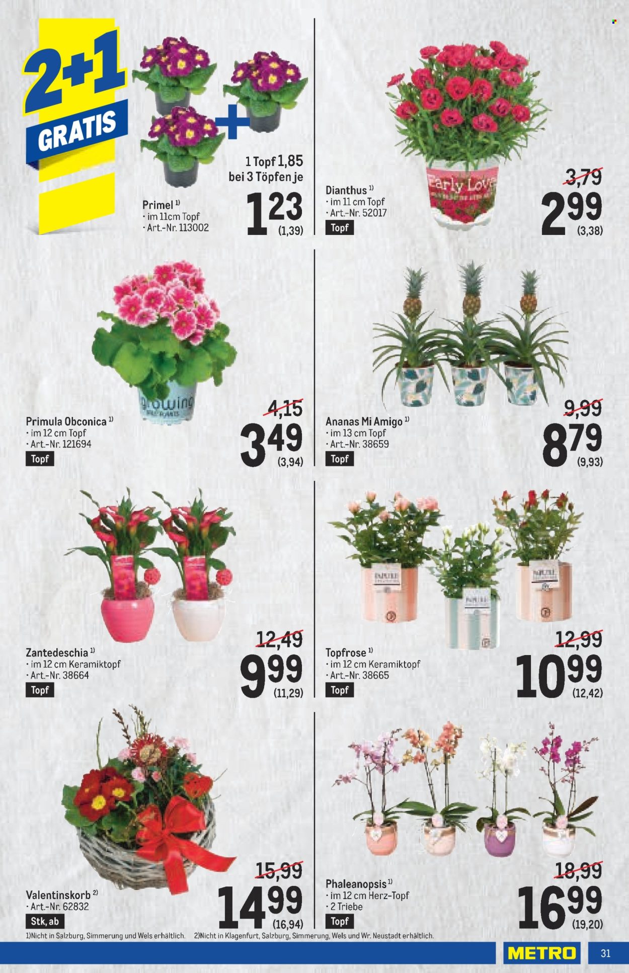 Angebote Metro - 6.2.2025 - 19.2.2025. Seite 31