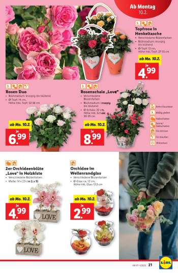 thumbnail - Orchidee im Wellenrandglas