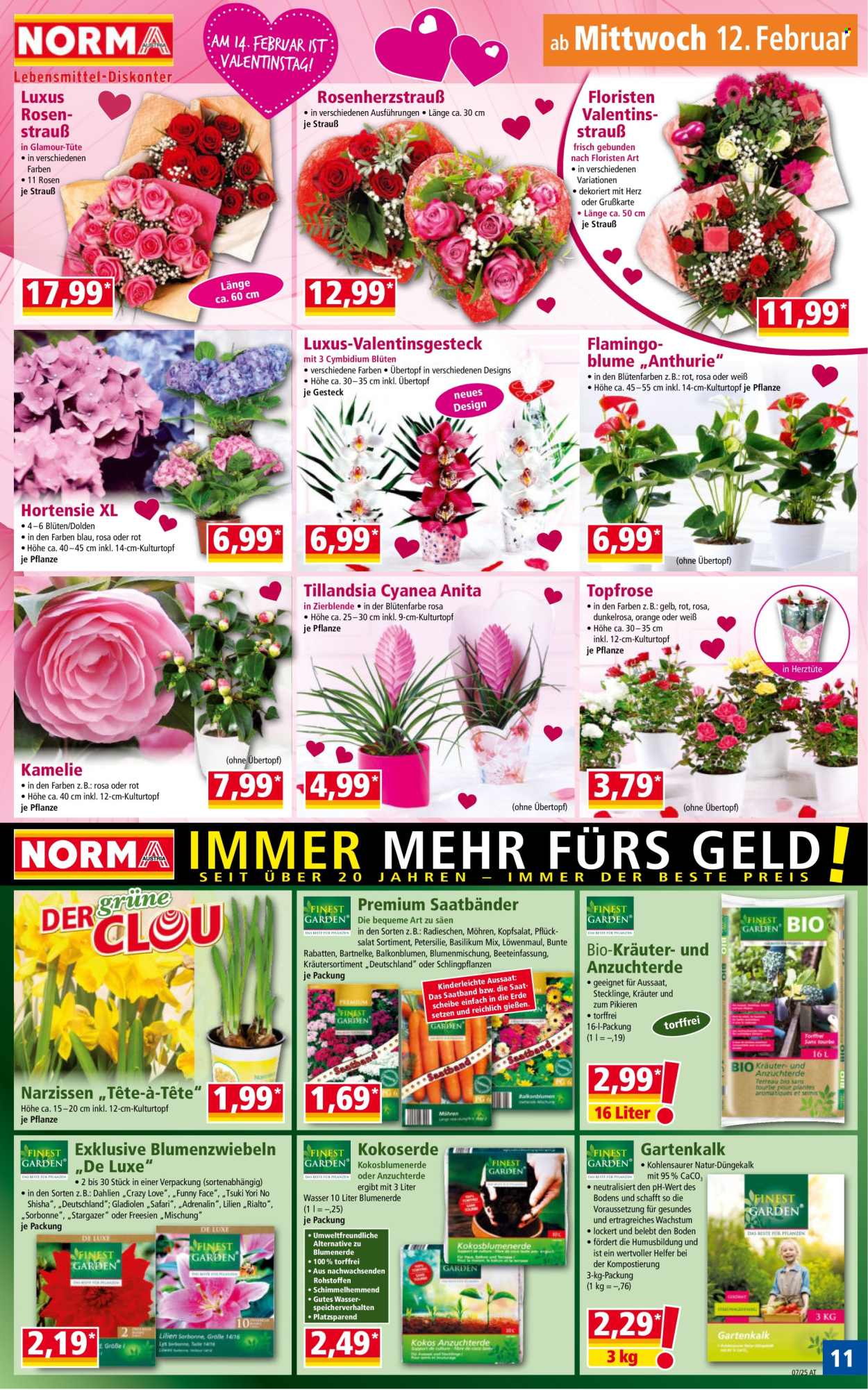 Angebote Norma - 10.2.2025 - 15.2.2025. Seite 11