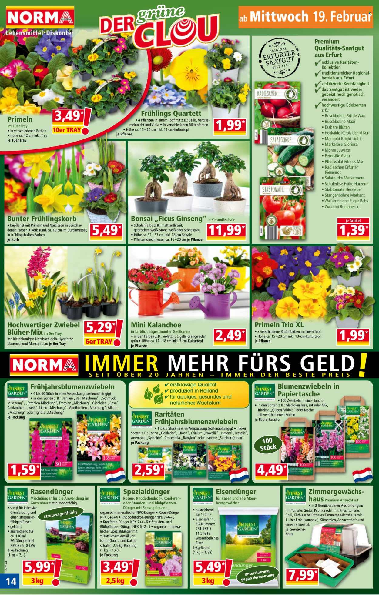 Angebote Norma - 17.2.2025 - 22.2.2025. Seite 14