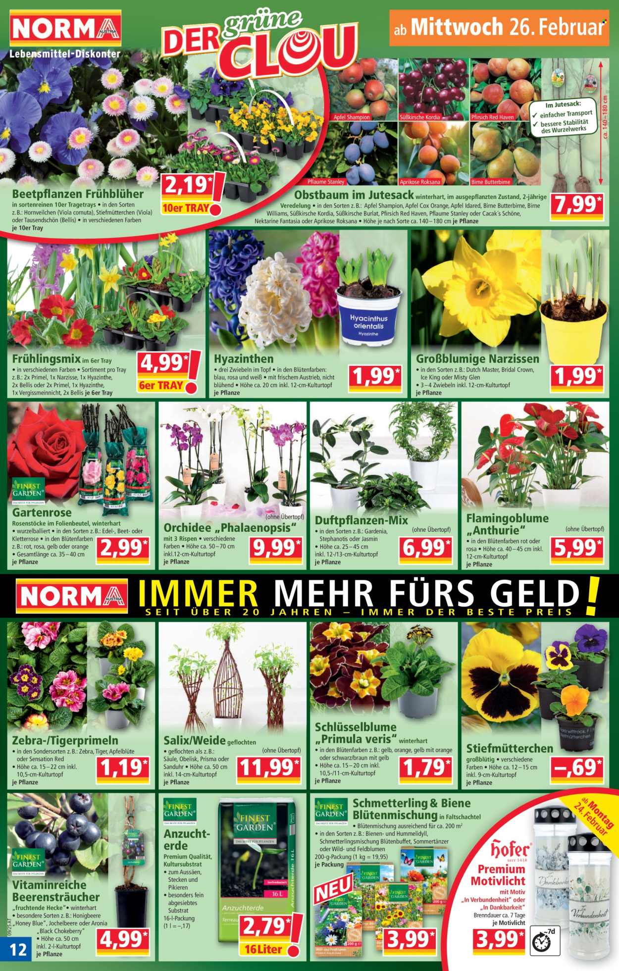 Angebote Norma - 24.2.2025 - 1.3.2025. Seite 12