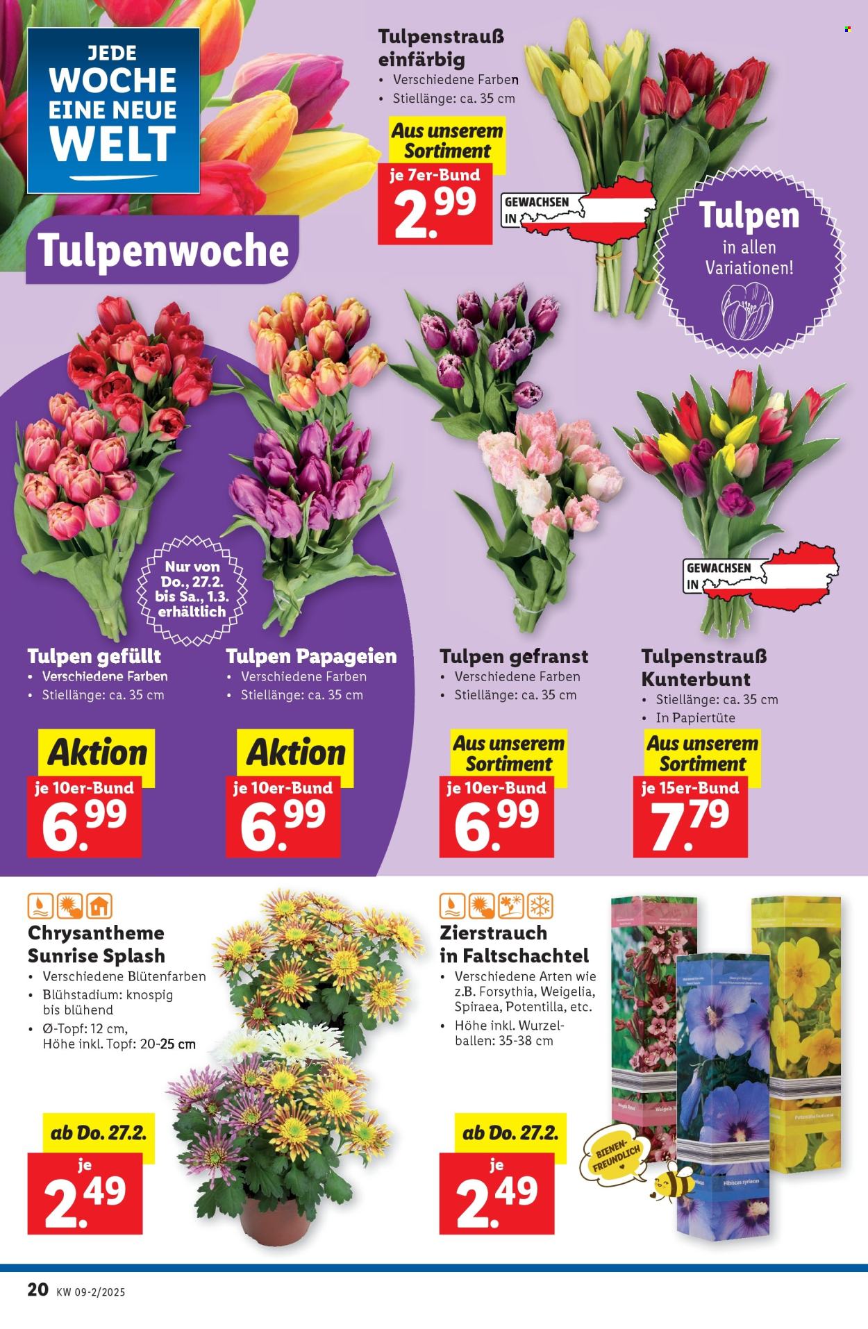 Angebote Lidl - 27.2.2025 - 5.3.2025. Seite 22