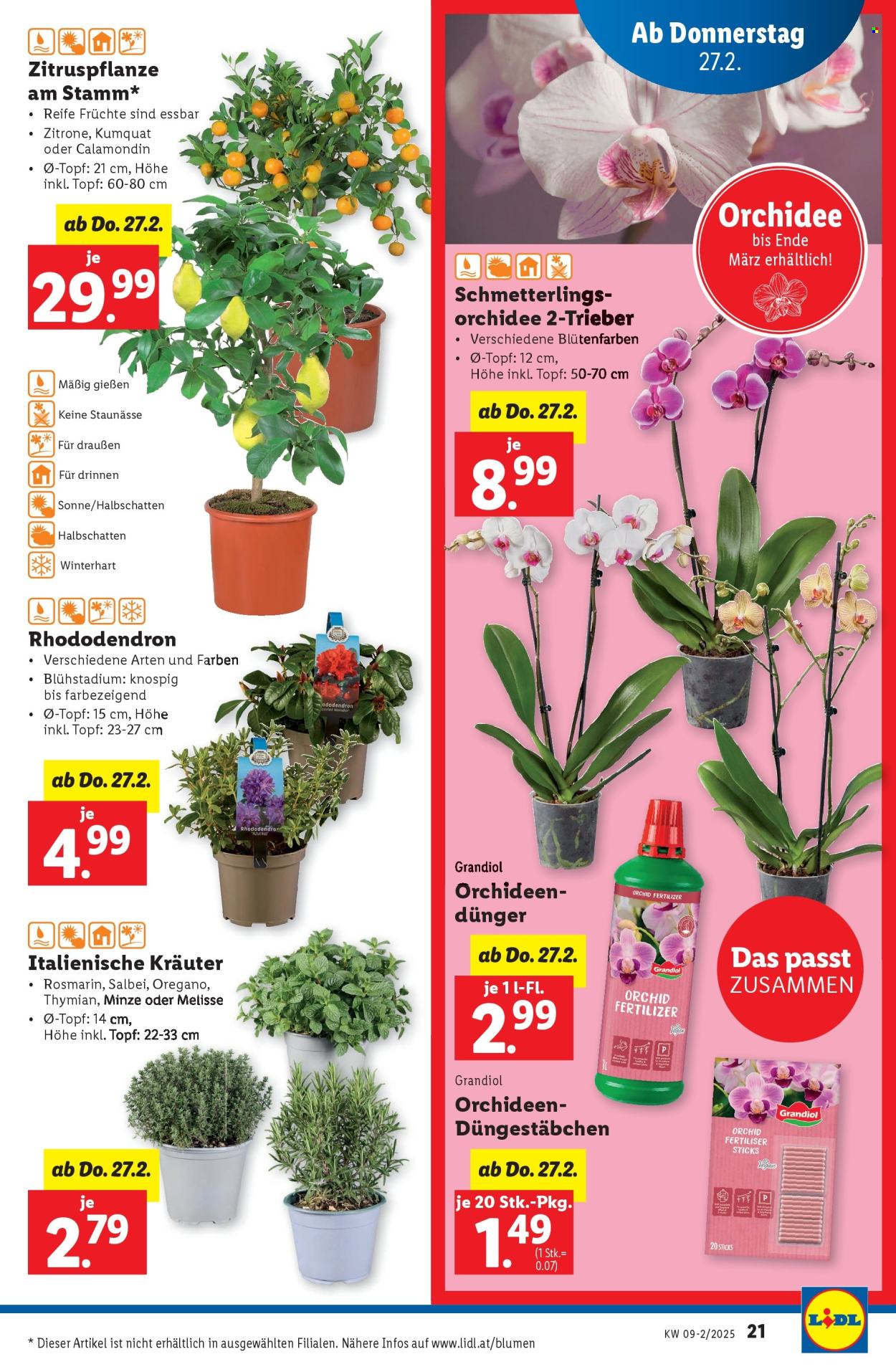 Angebote Lidl - 27.2.2025 - 5.3.2025. Seite 23