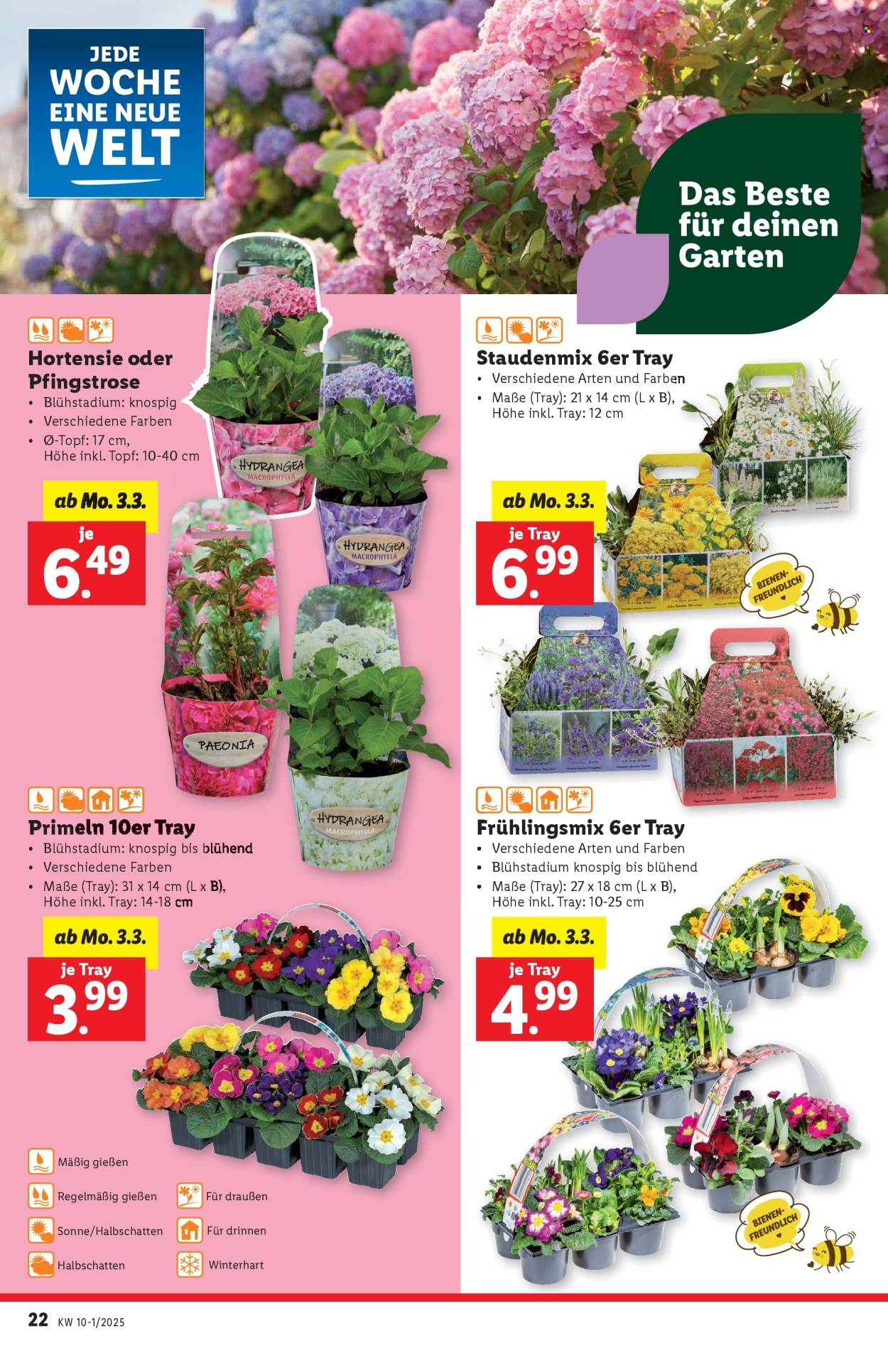Angebote Lidl - 27.2.2025 - 5.3.2025. Seite 24