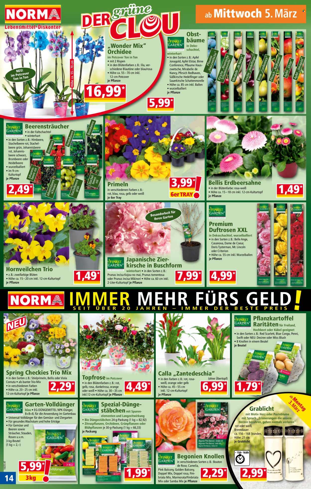 Angebote Norma - 3.3.2025 - 8.3.2025. Seite 14