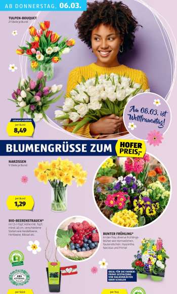 thumbnail - BUNTER FRÜHLING