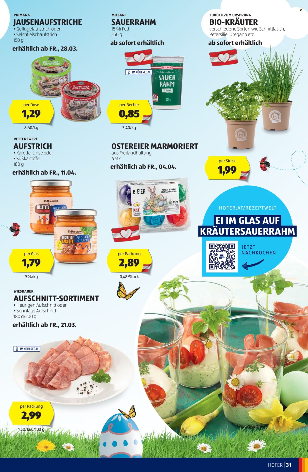 Angebote Hofer. Seite 31