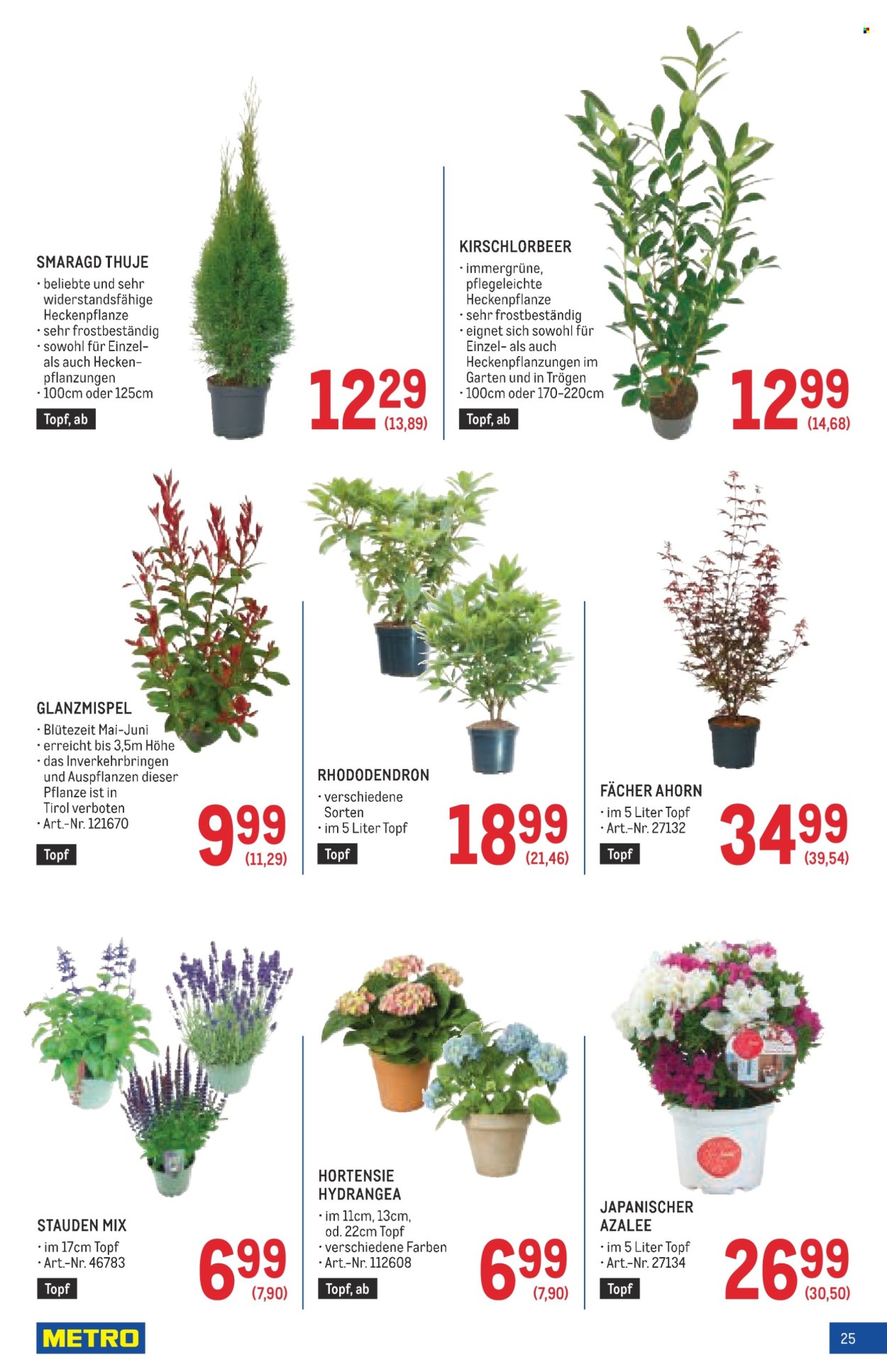 Angebote Metro - 20.3.2025 - 16.4.2025. Seite 25