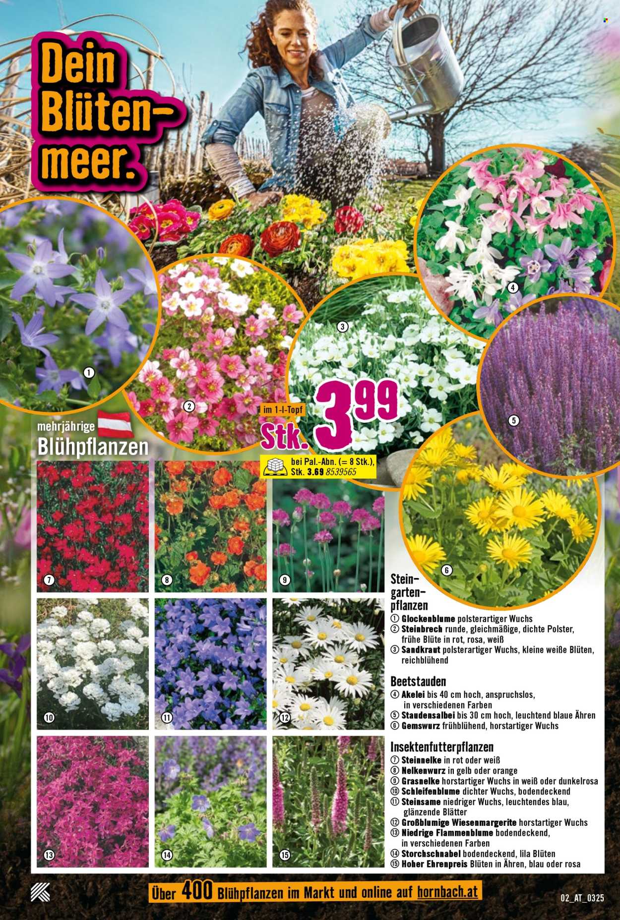 Angebote Hornbach - 20.3.2025 - 2.4.2025. Seite 2