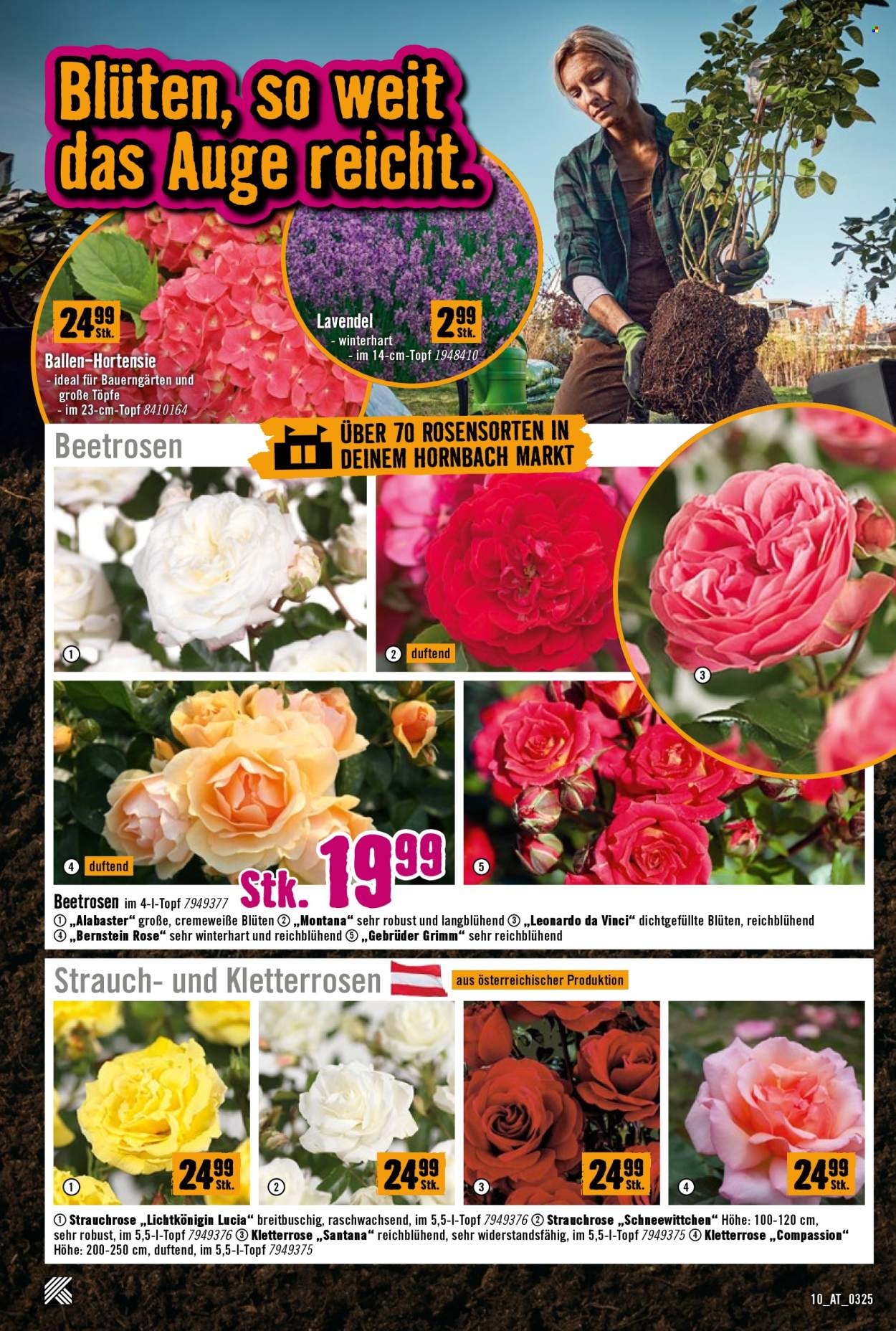 Angebote Hornbach - 20.3.2025 - 2.4.2025. Seite 10