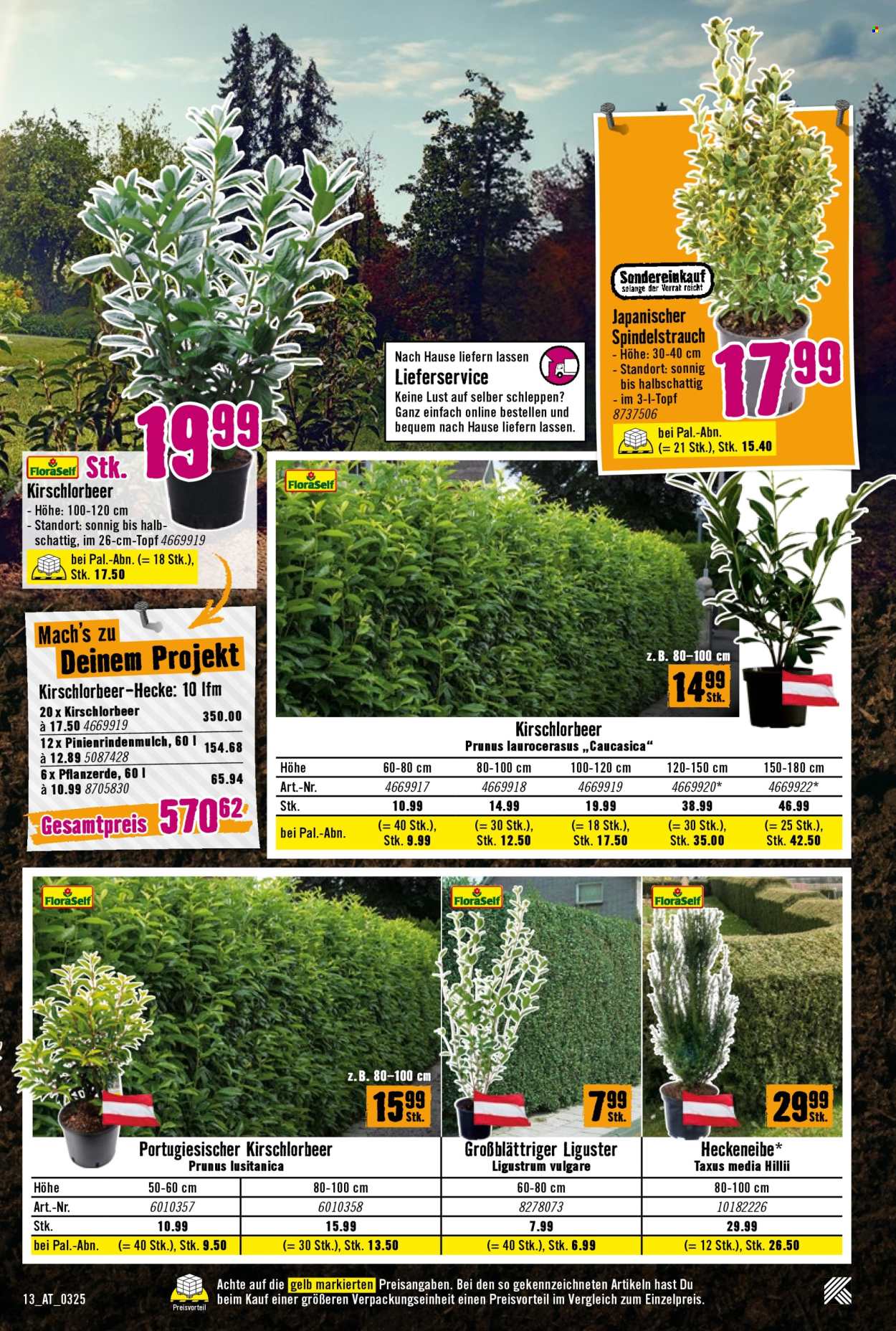 Angebote Hornbach - 20.3.2025 - 2.4.2025. Seite 13