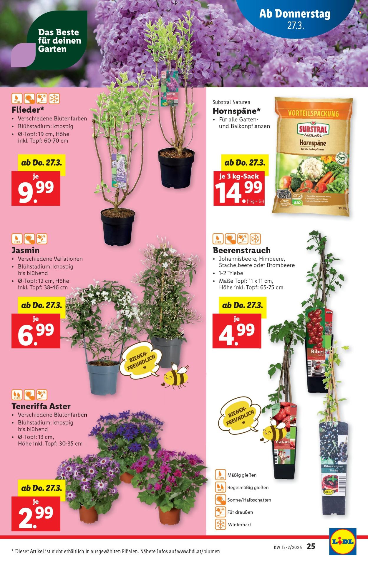 Angebote Lidl - 27.3.2025 - 2.4.2025. Seite 27
