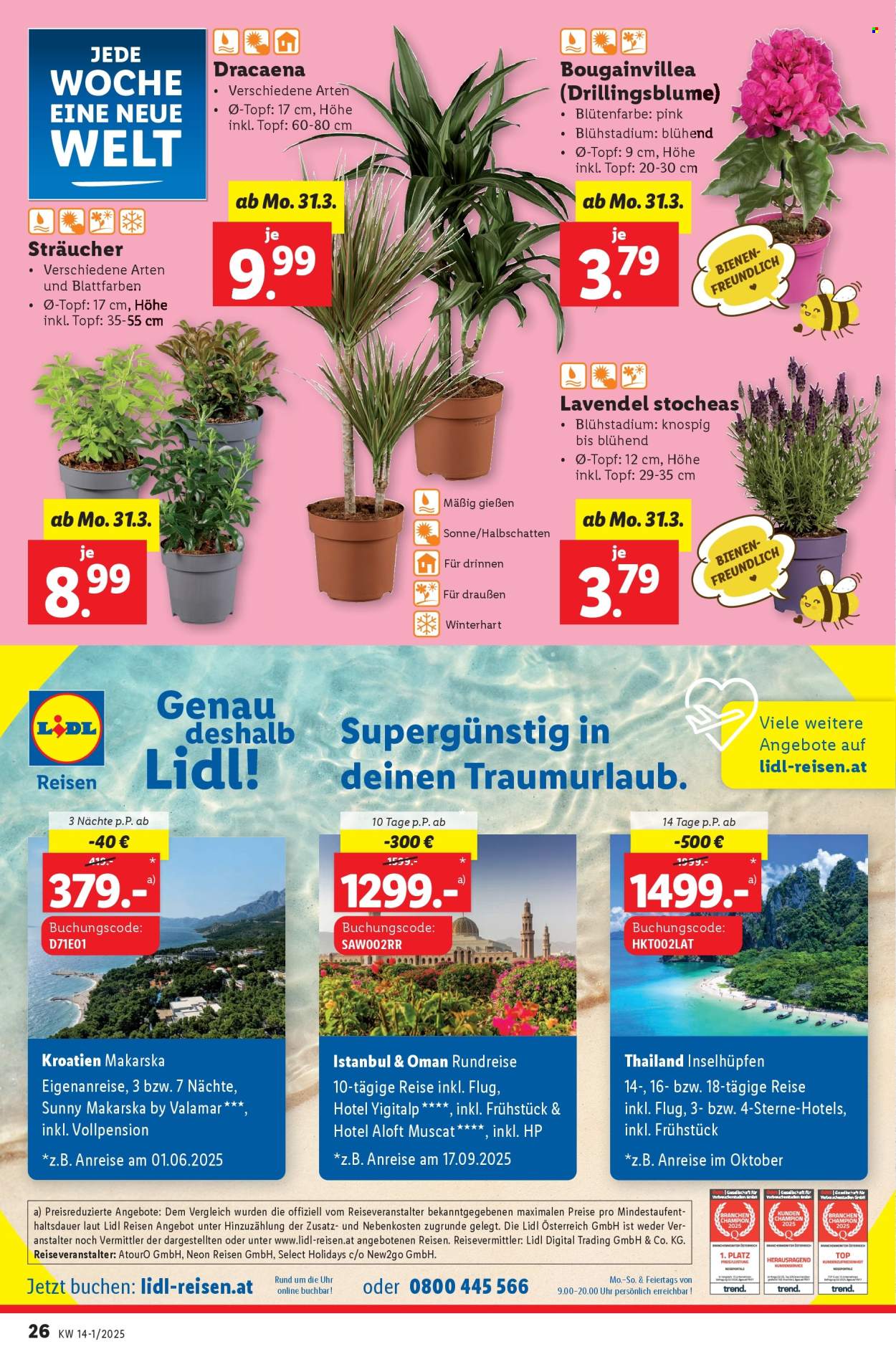 Angebote Lidl - 27.3.2025 - 2.4.2025. Seite 28