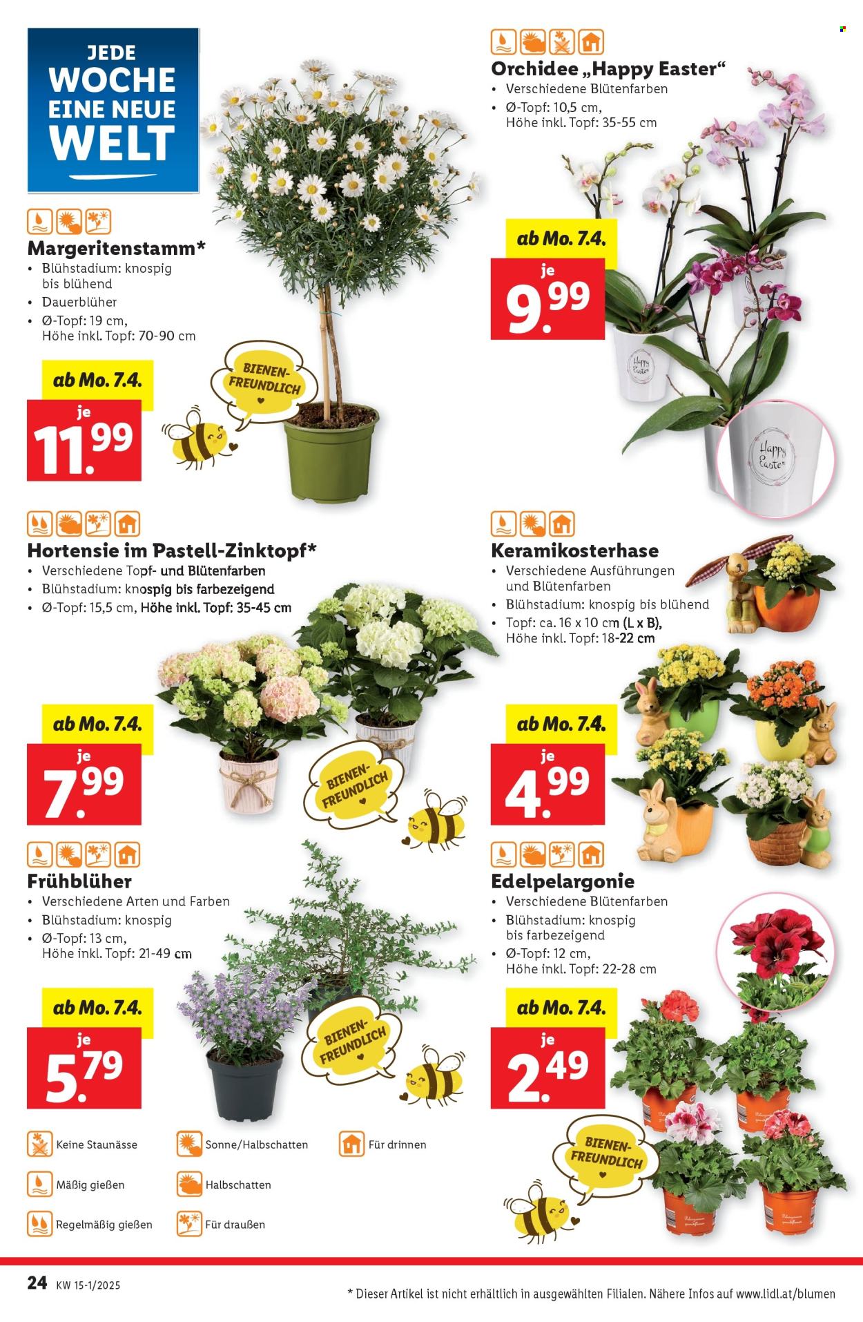Angebote Lidl - 3.4.2025 - 9.4.2025. Seite 26