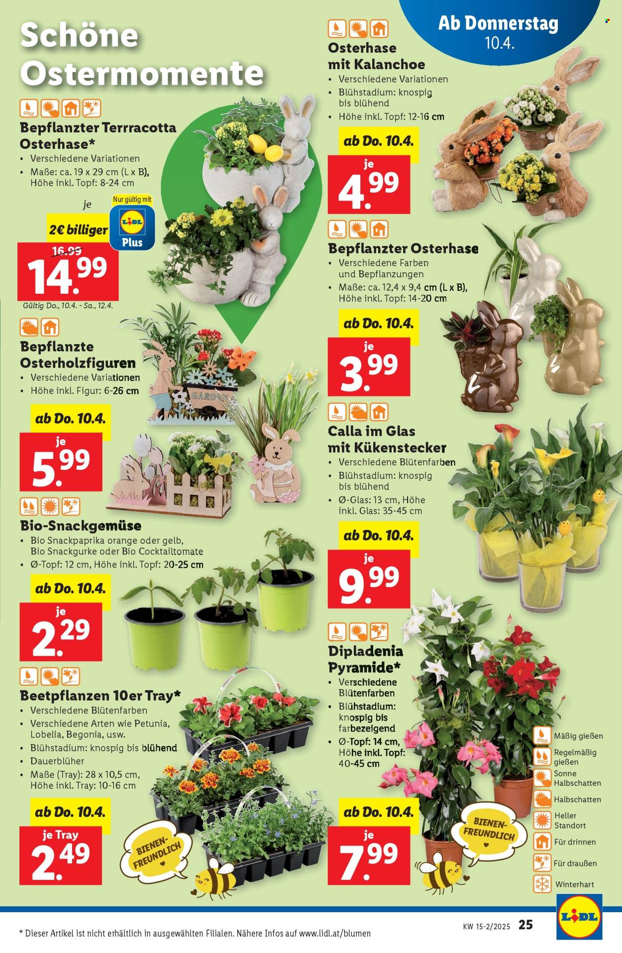 Angebote Lidl - 10.4.2025 - 16.4.2025. Seite 29