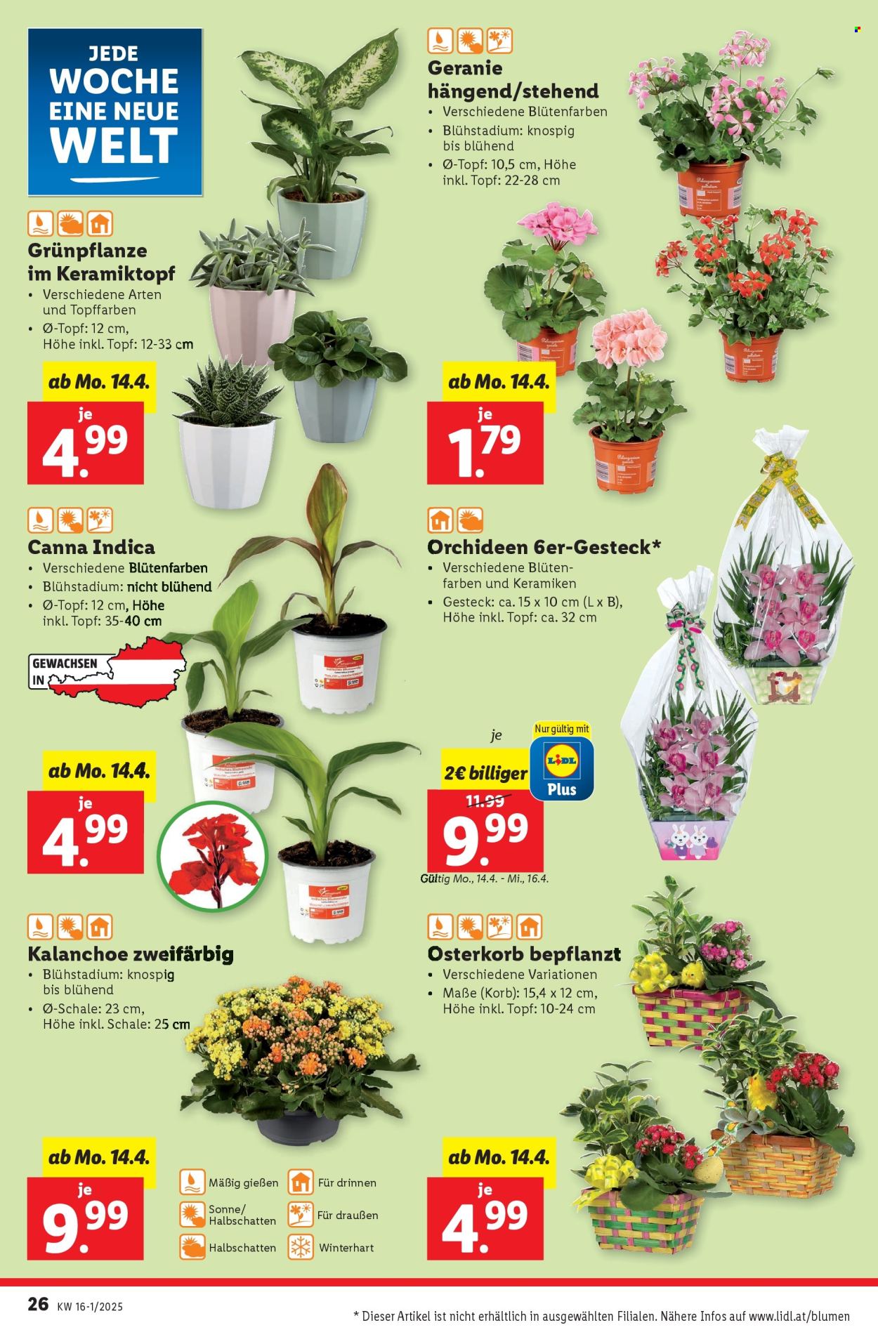 Angebote Lidl - 10.4.2025 - 16.4.2025. Seite 30