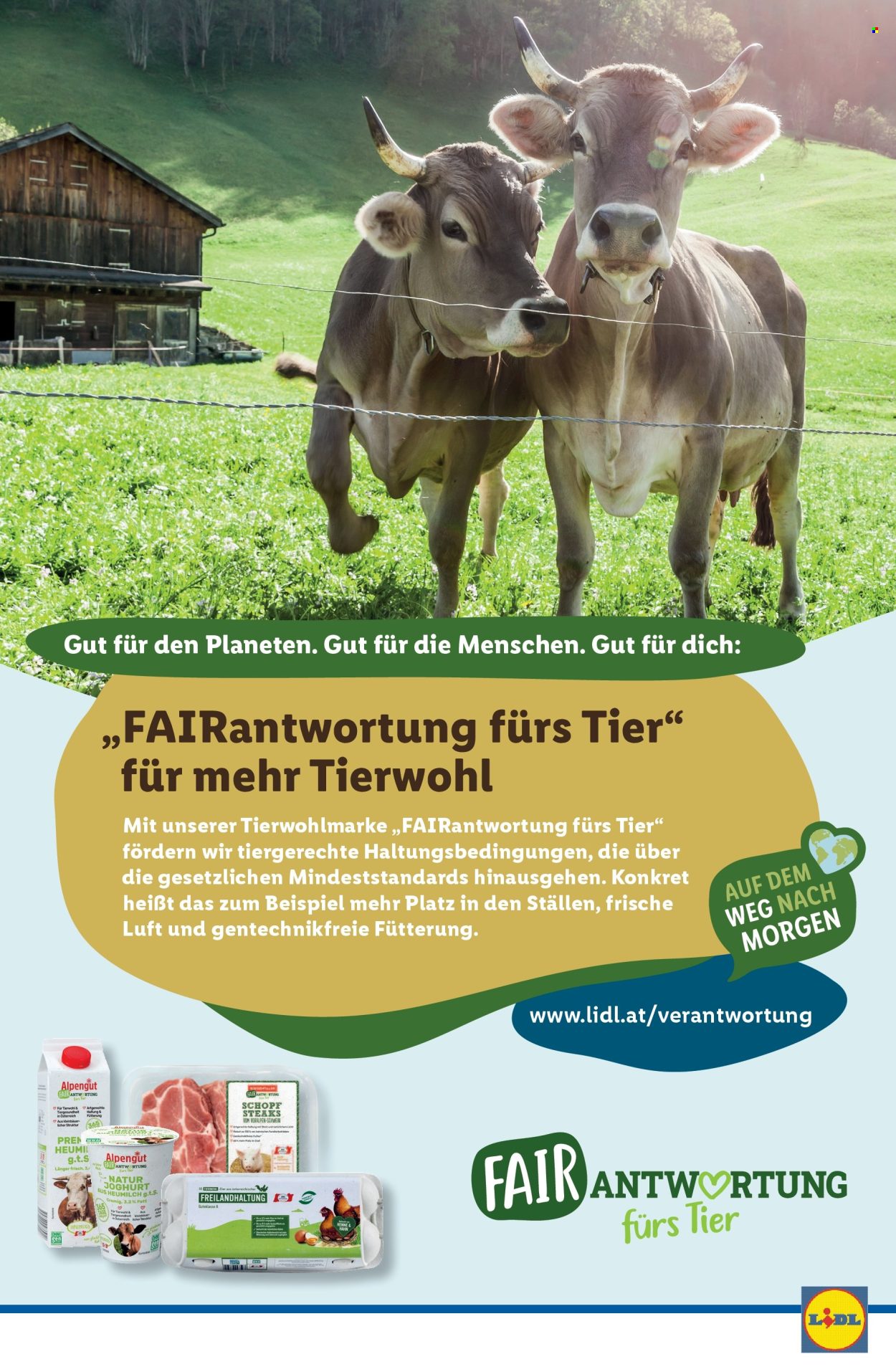 Angebote Lidl - 10.4.2025 - 16.4.2025. Seite 48