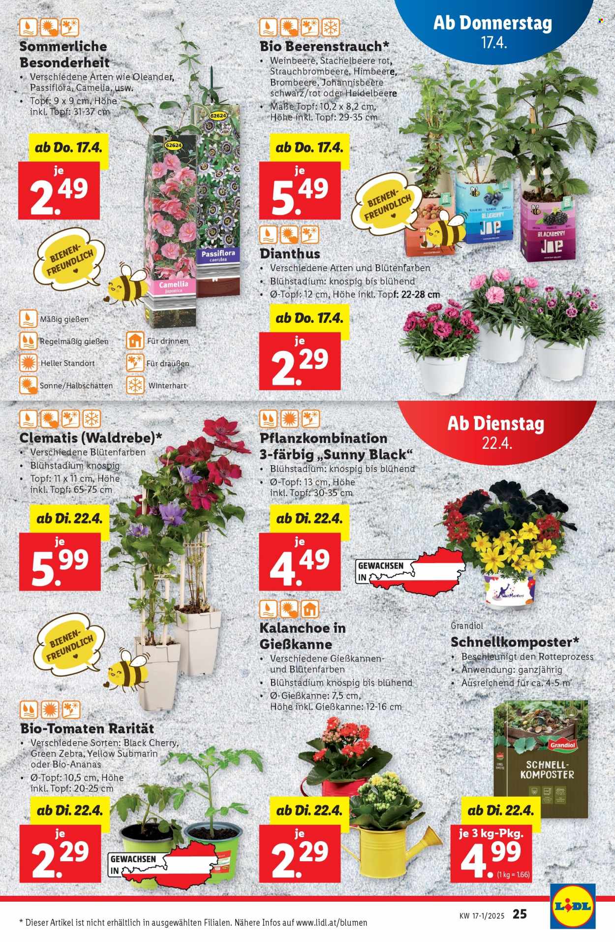 Angebote Lidl - 17.4.2025 - 23.4.2025. Seite 27