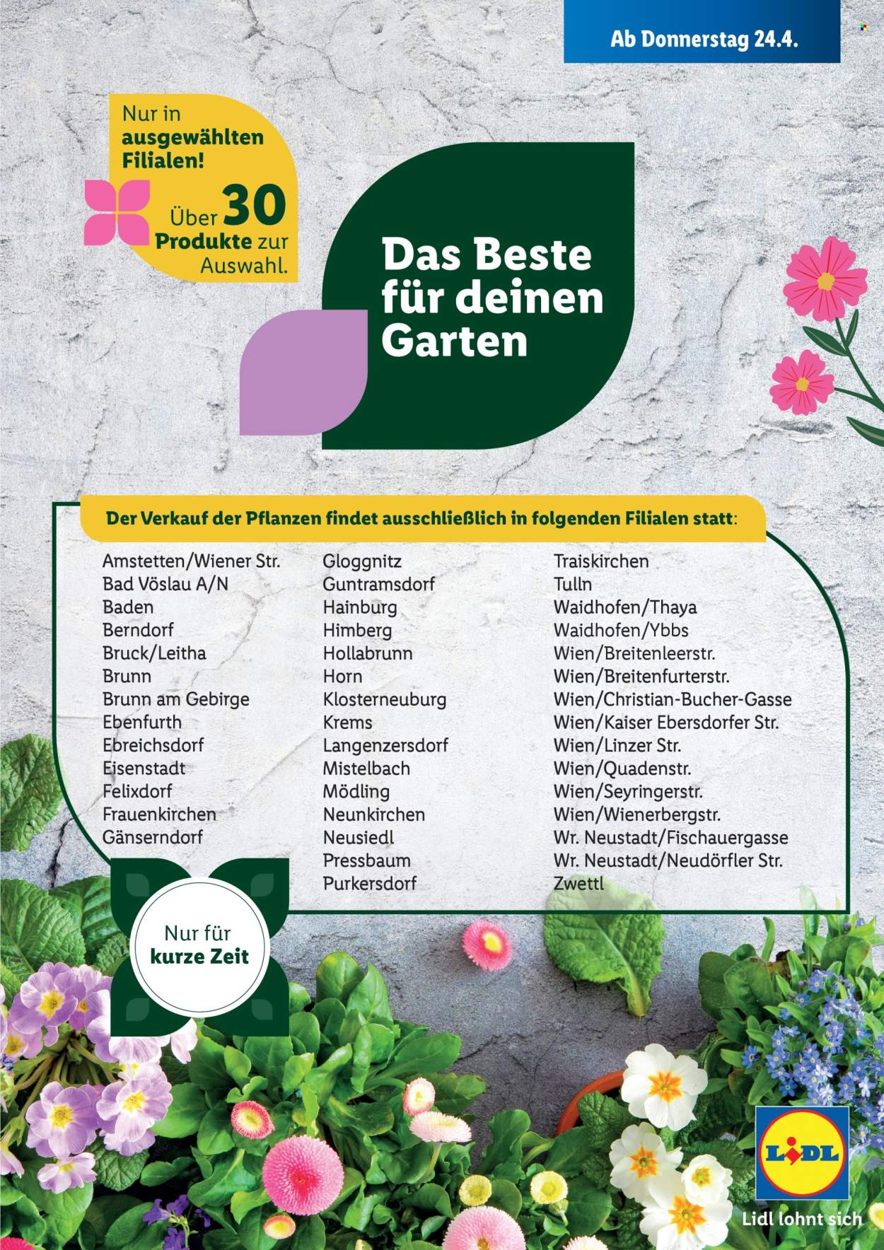 Angebote Lidl. Seite 1