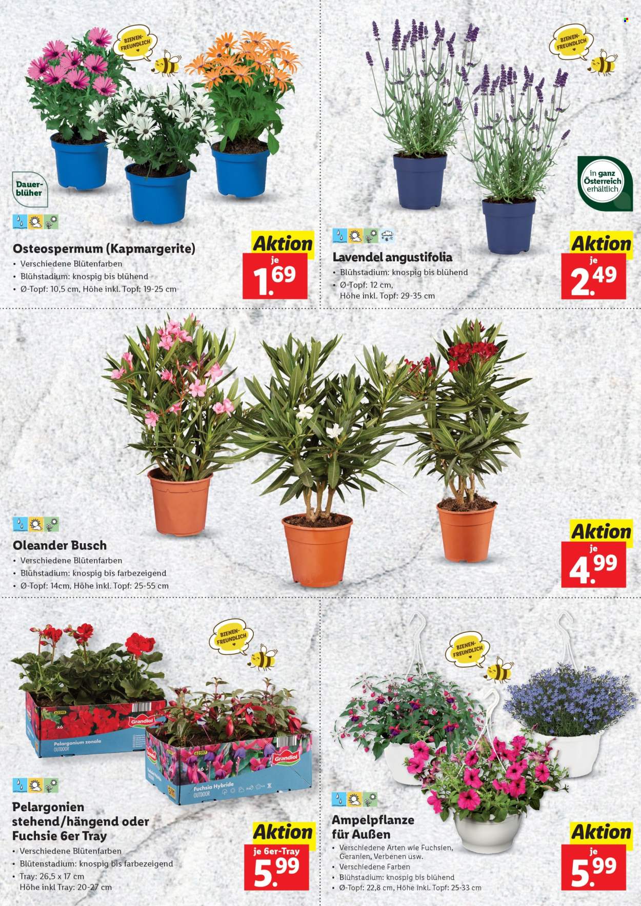 Angebote Lidl. Seite 2