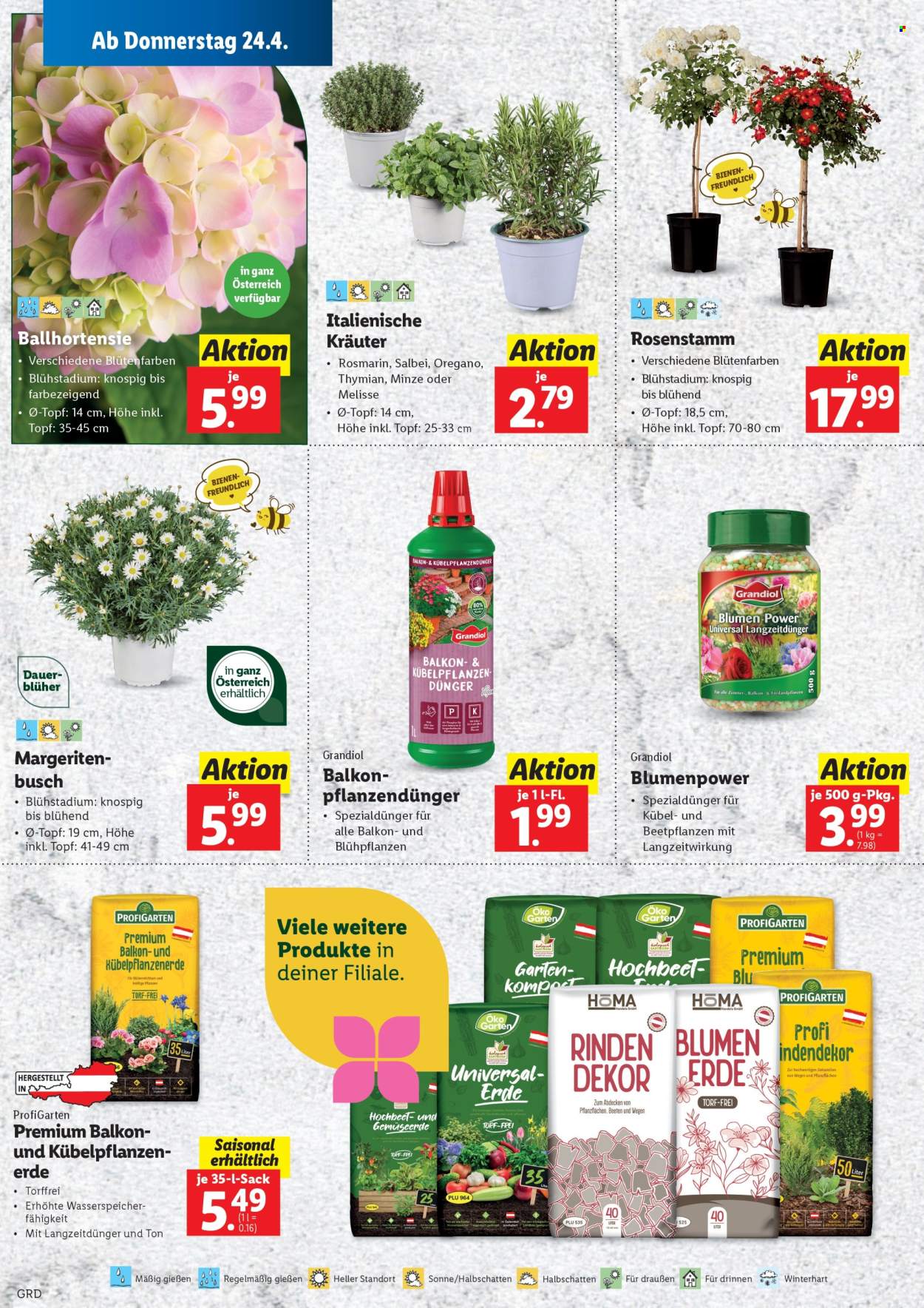 Angebote Lidl. Seite 4