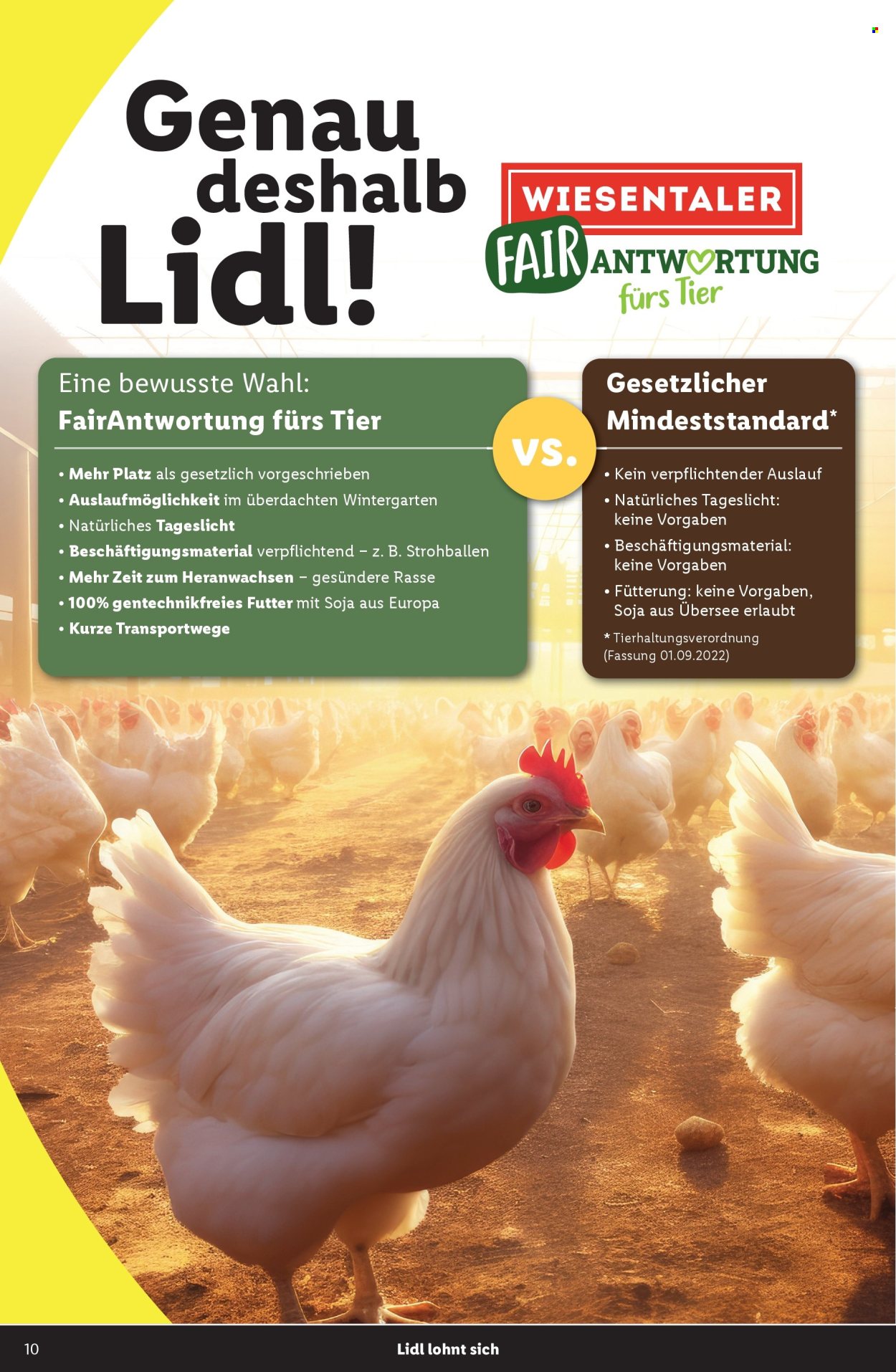 Angebote Lidl. Seite 10