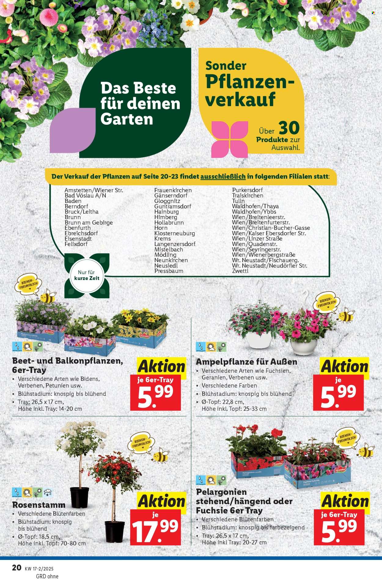 Angebote Lidl - 24.4.2025 - 30.4.2025. Seite 22