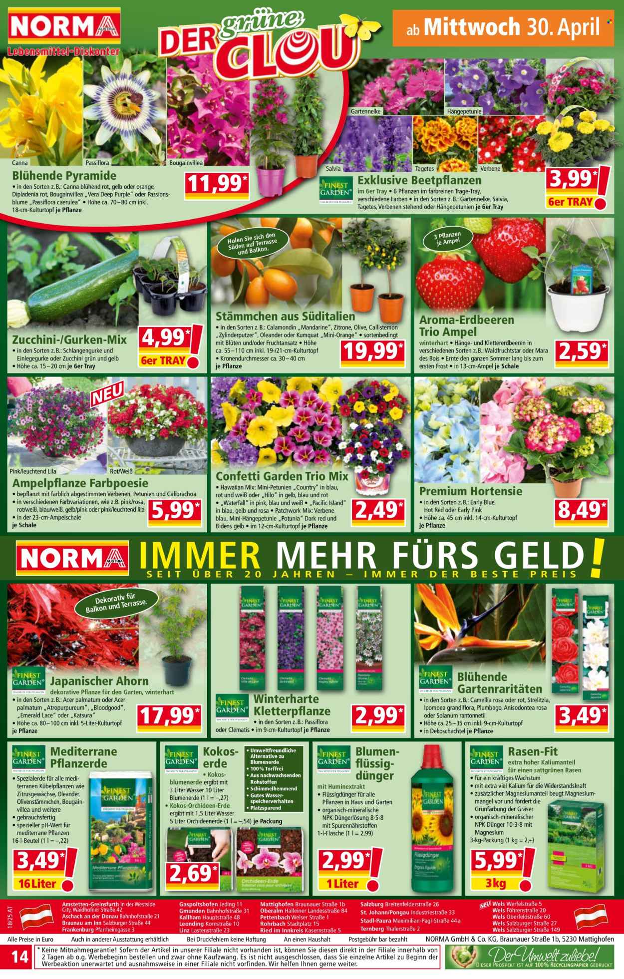 Angebote Norma - 28.4.2025 - 3.5.2025. Seite 14
