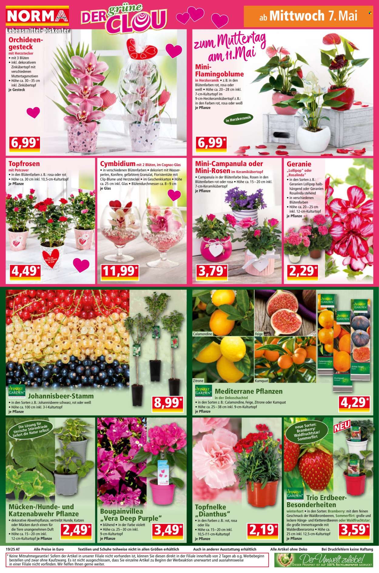 Angebote Norma - 5.5.2025 - 10.5.2025. Seite 16