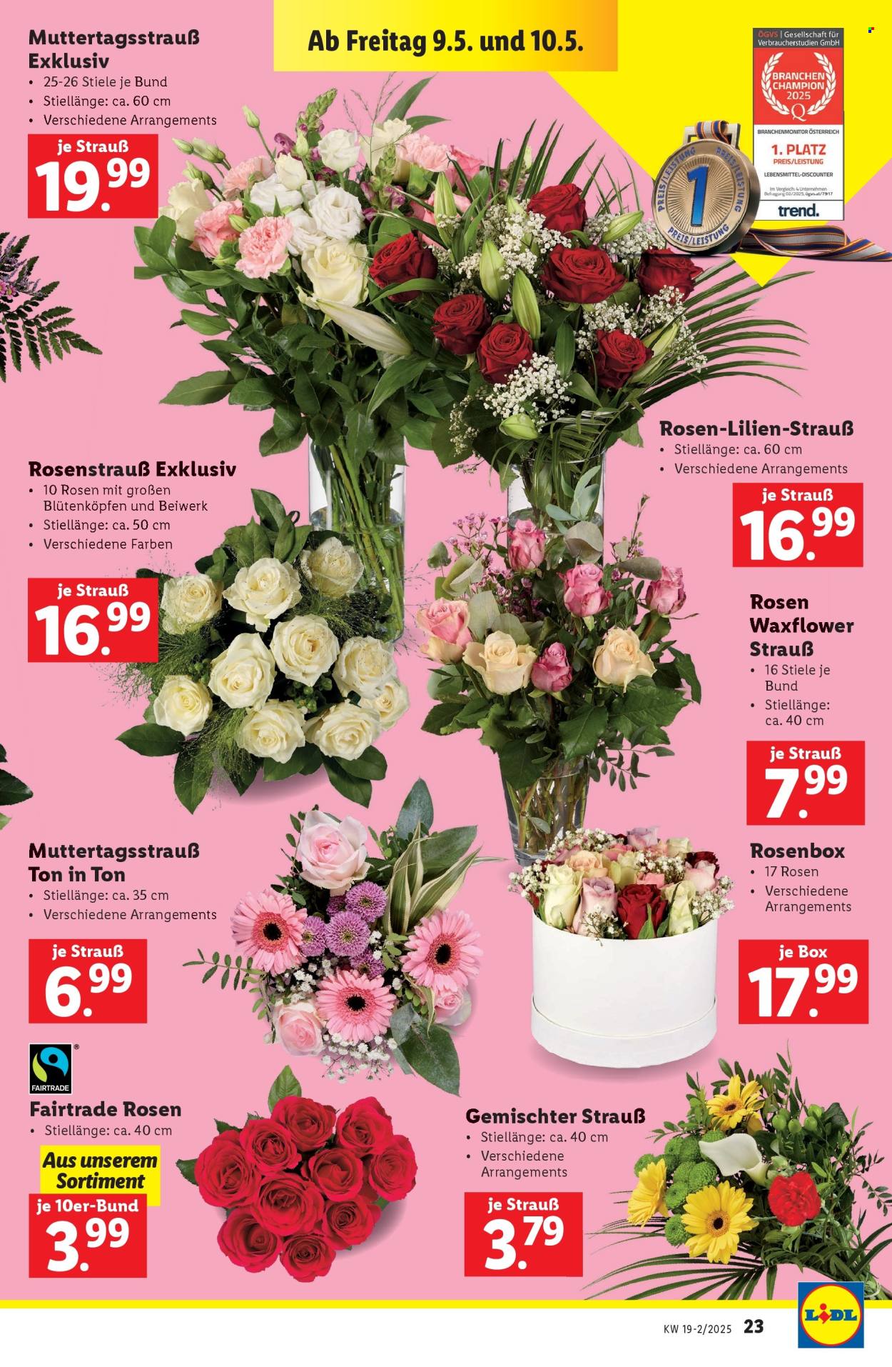 Angebote Lidl - 8.5.2025 - 14.5.2025. Seite 25