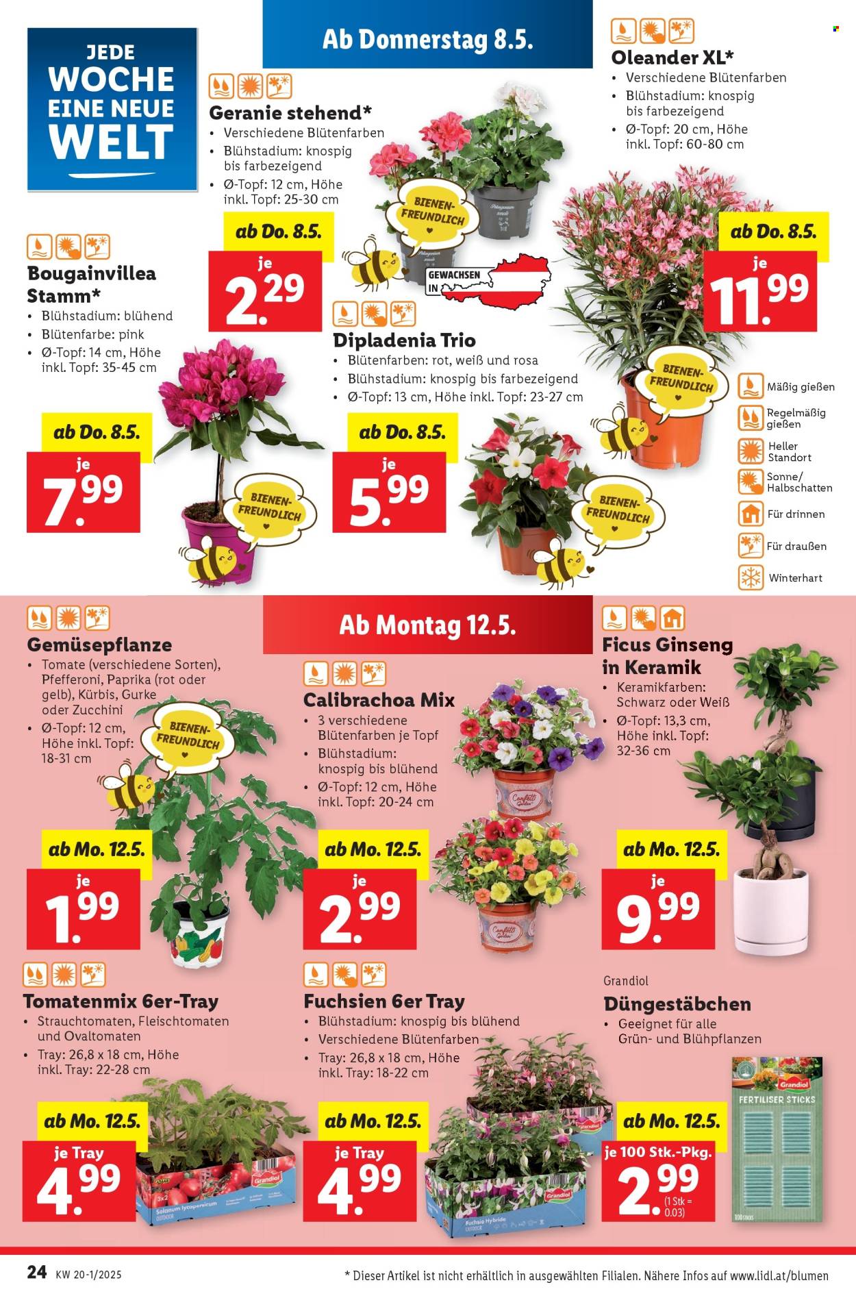 Angebote Lidl - 8.5.2025 - 14.5.2025. Seite 26