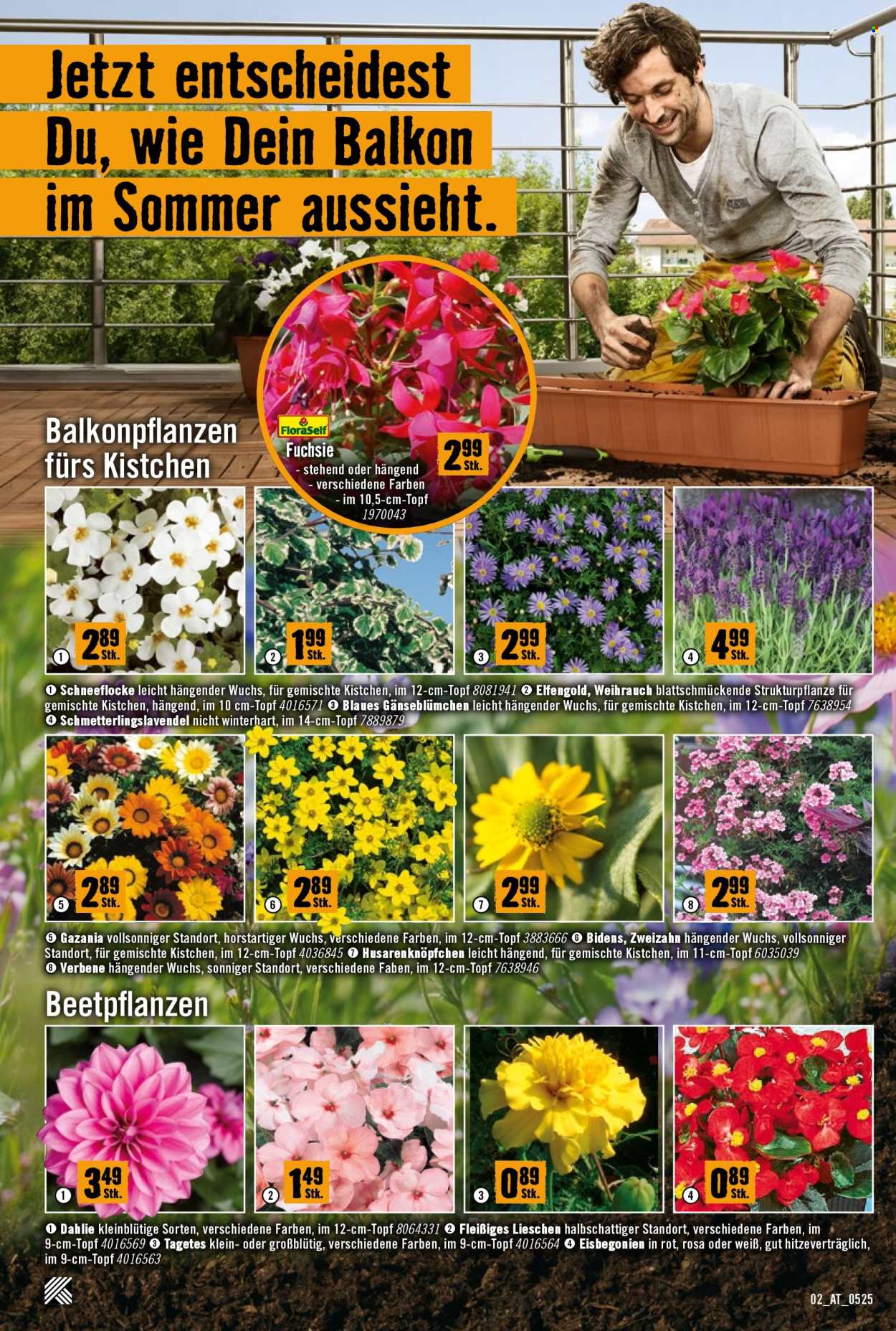 Angebote Hornbach - 8.5.2025 - 4.6.2025. Seite 2