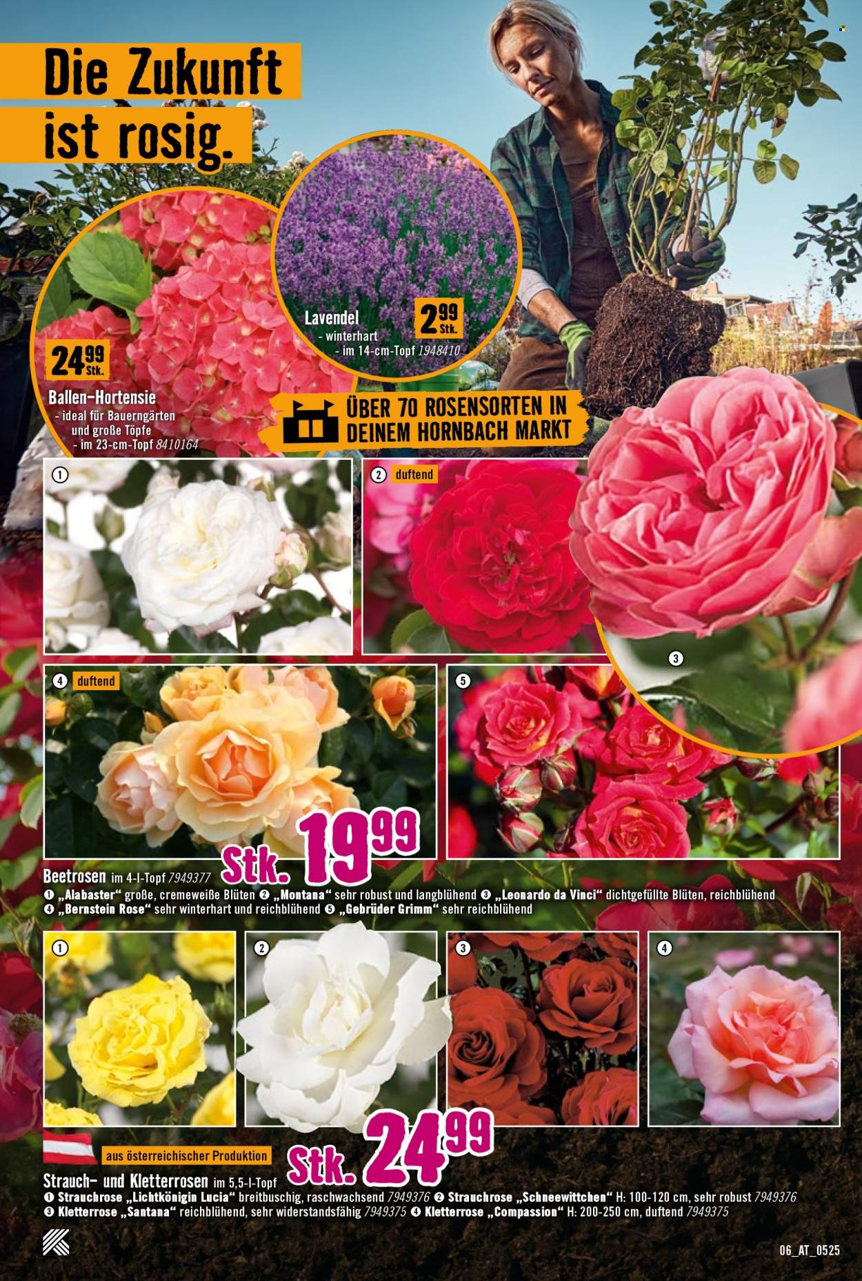 Angebote Hornbach - 8.5.2025 - 4.6.2025. Seite 6