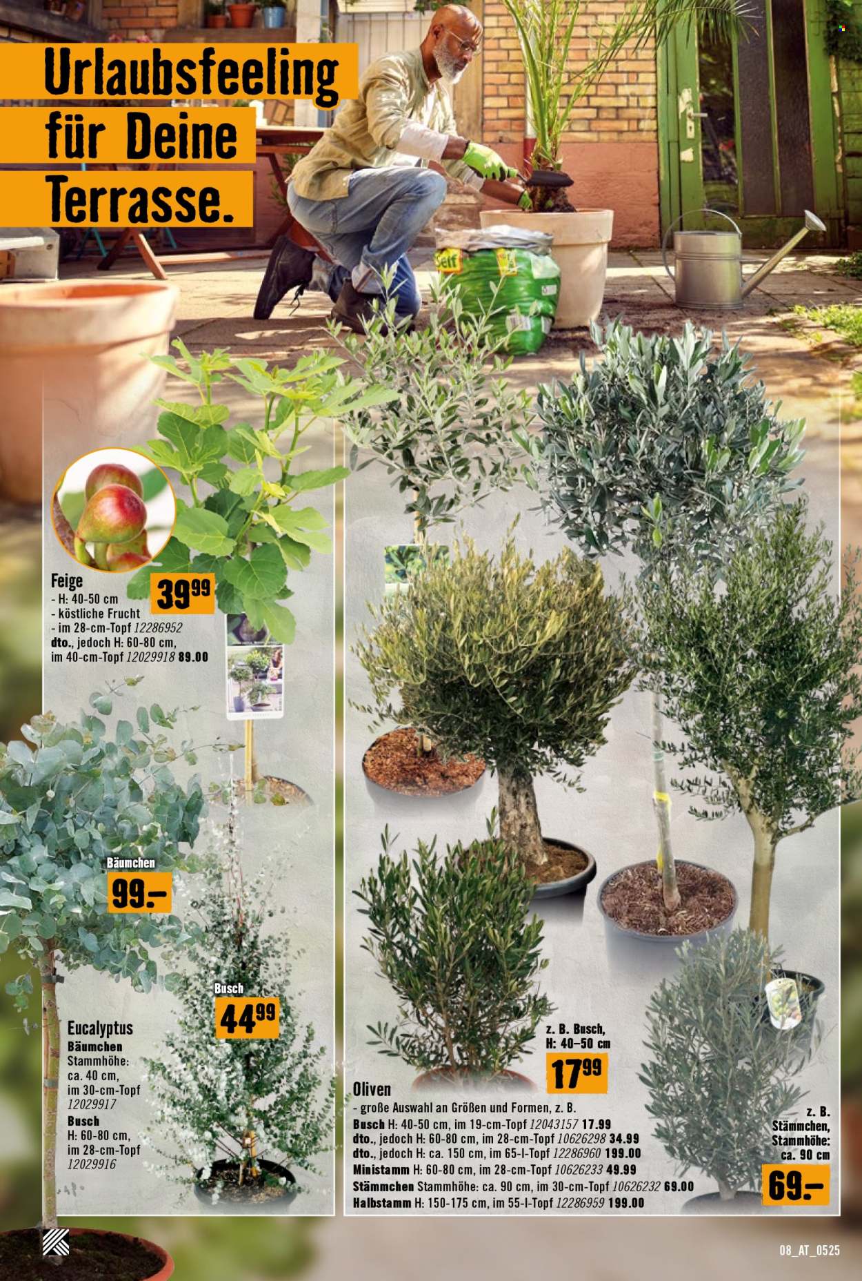 Angebote Hornbach - 8.5.2025 - 4.6.2025. Seite 8