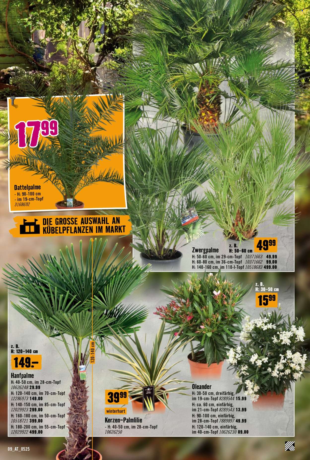 Angebote Hornbach - 8.5.2025 - 4.6.2025. Seite 9