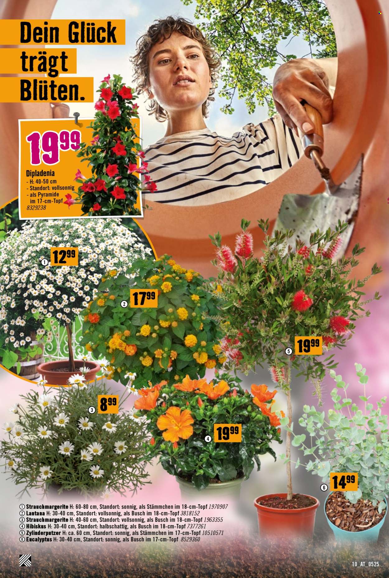 Angebote Hornbach - 8.5.2025 - 4.6.2025. Seite 10