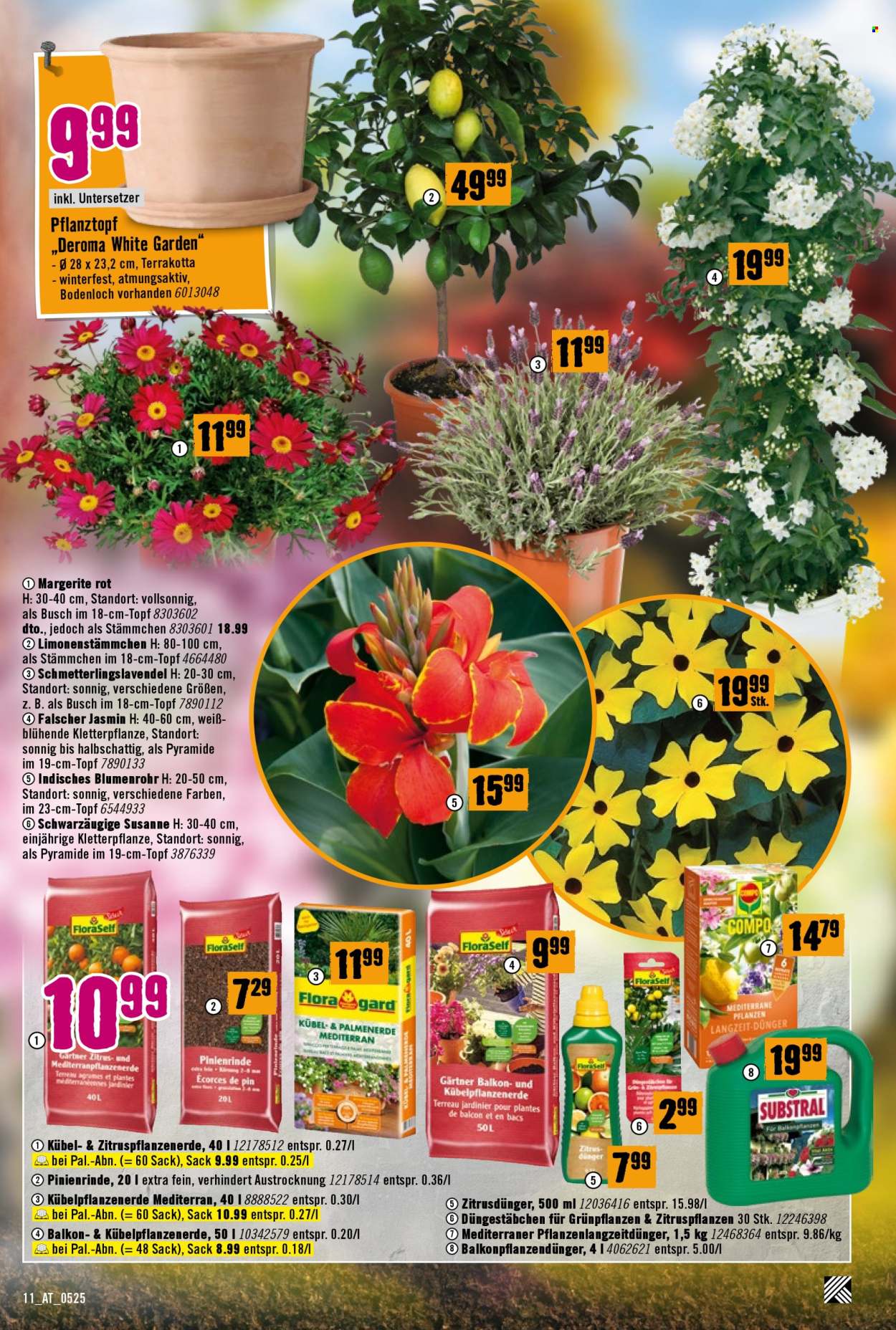Angebote Hornbach - 8.5.2025 - 4.6.2025. Seite 11
